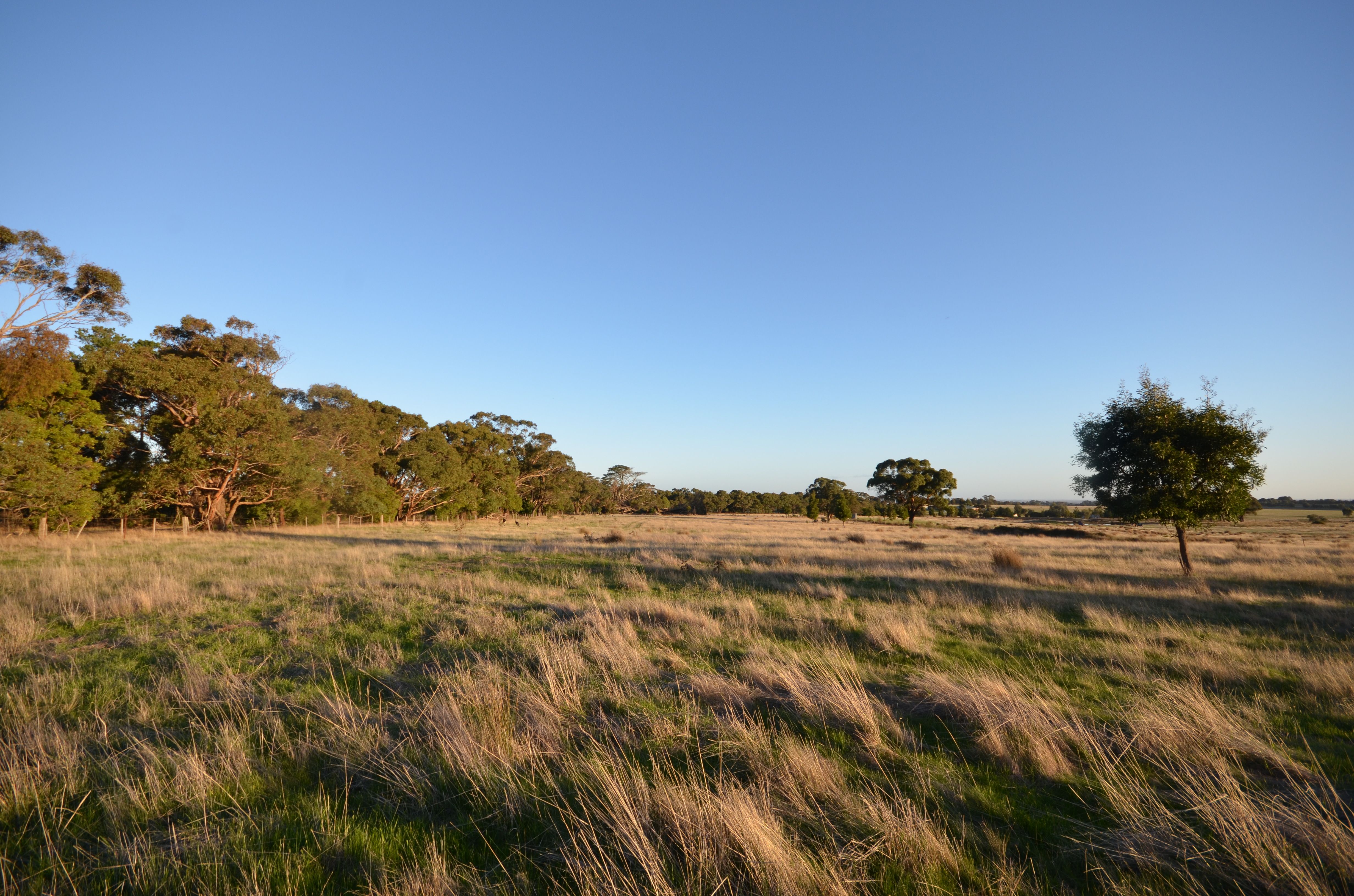 CA 1 Berringa Road, Berringa, VIC 3351