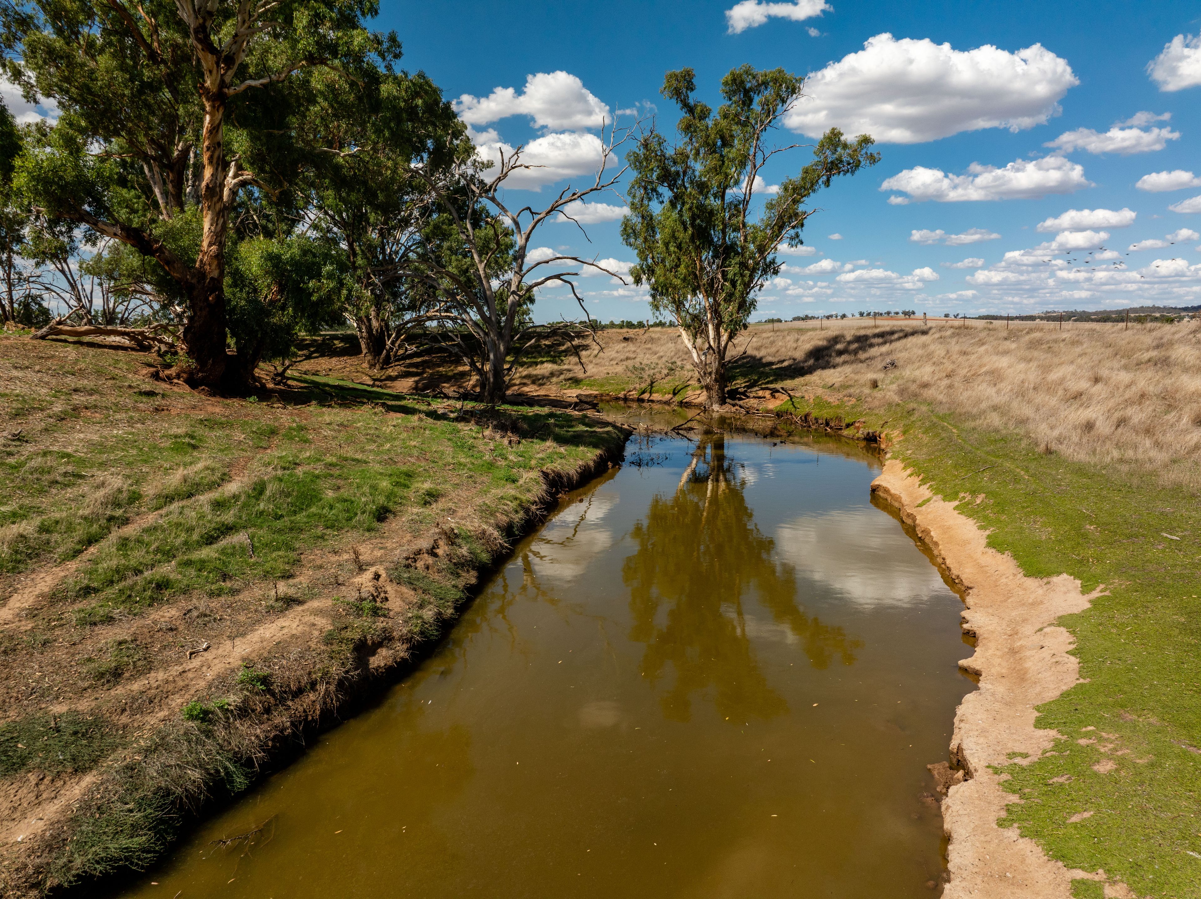 326 Downside Road, Downside, NSW 2650