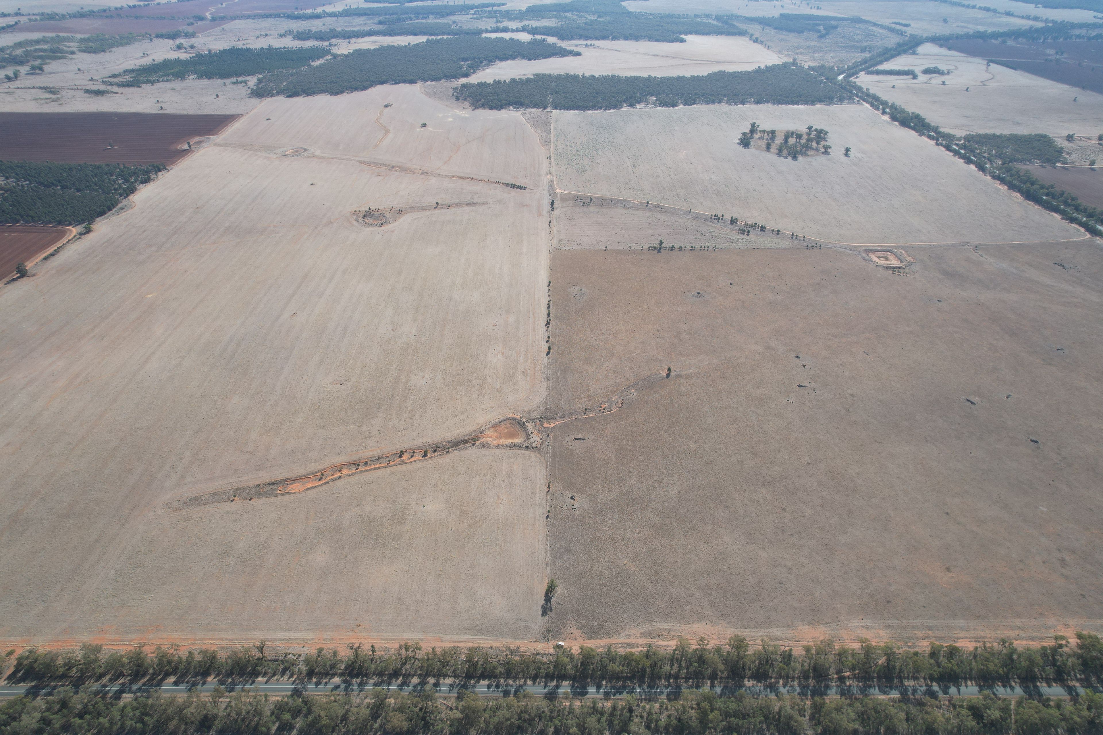 1826 Tallimba Road, West Wyalong, NSW 2671