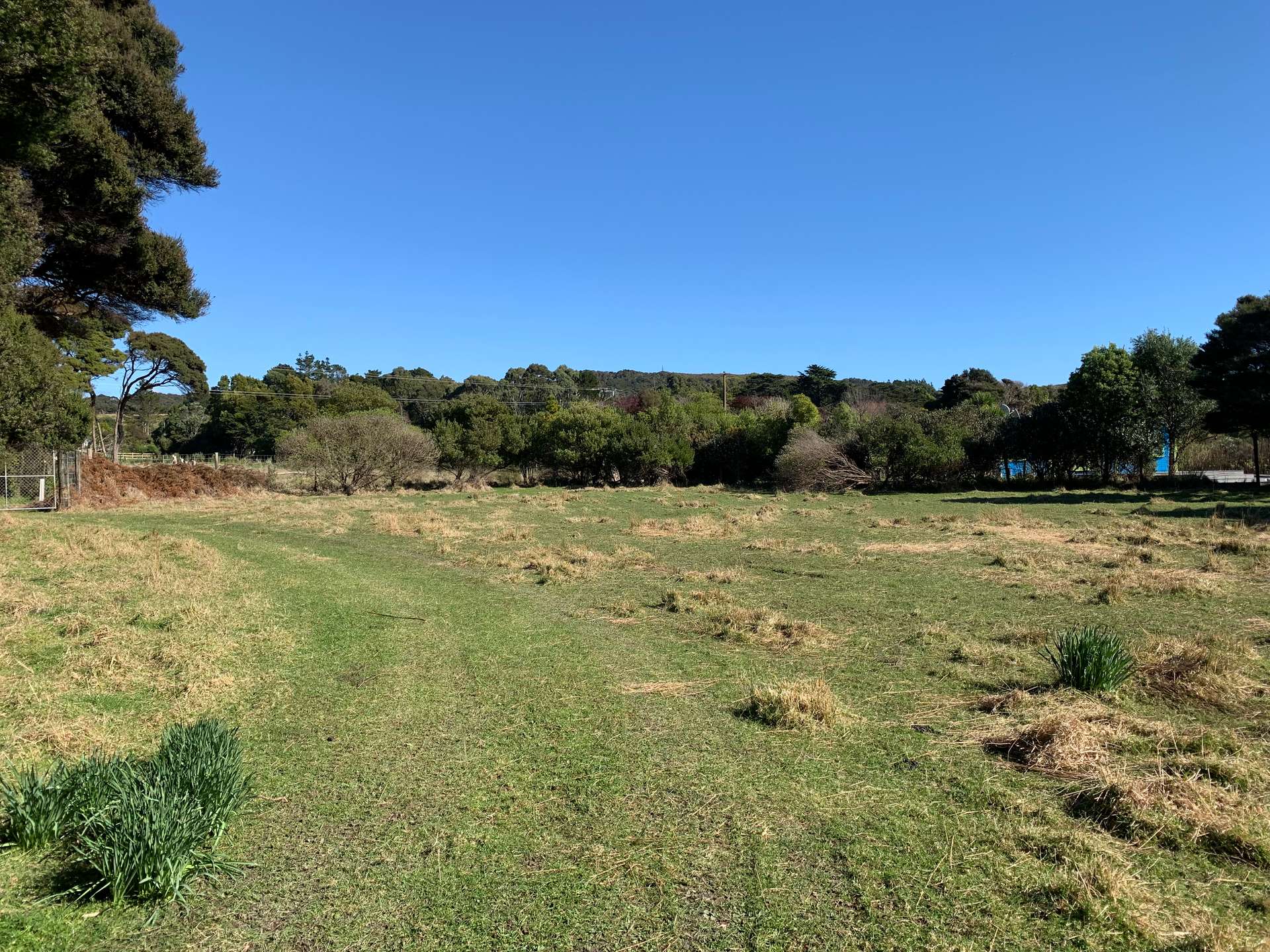 172 Wharariki Road photo 1