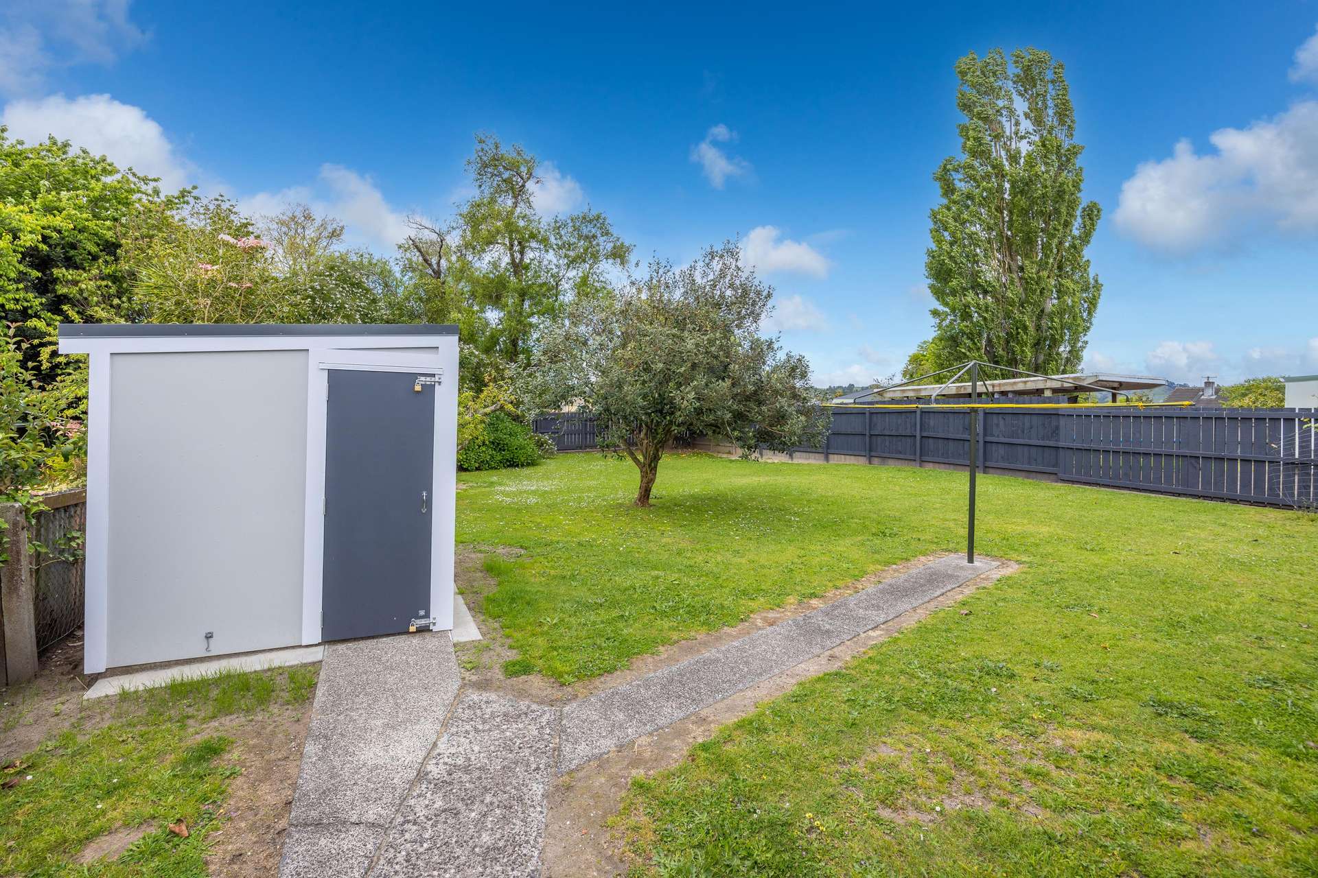 8 Chisholm Street photo 15