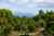 90 Birch Street photo 17