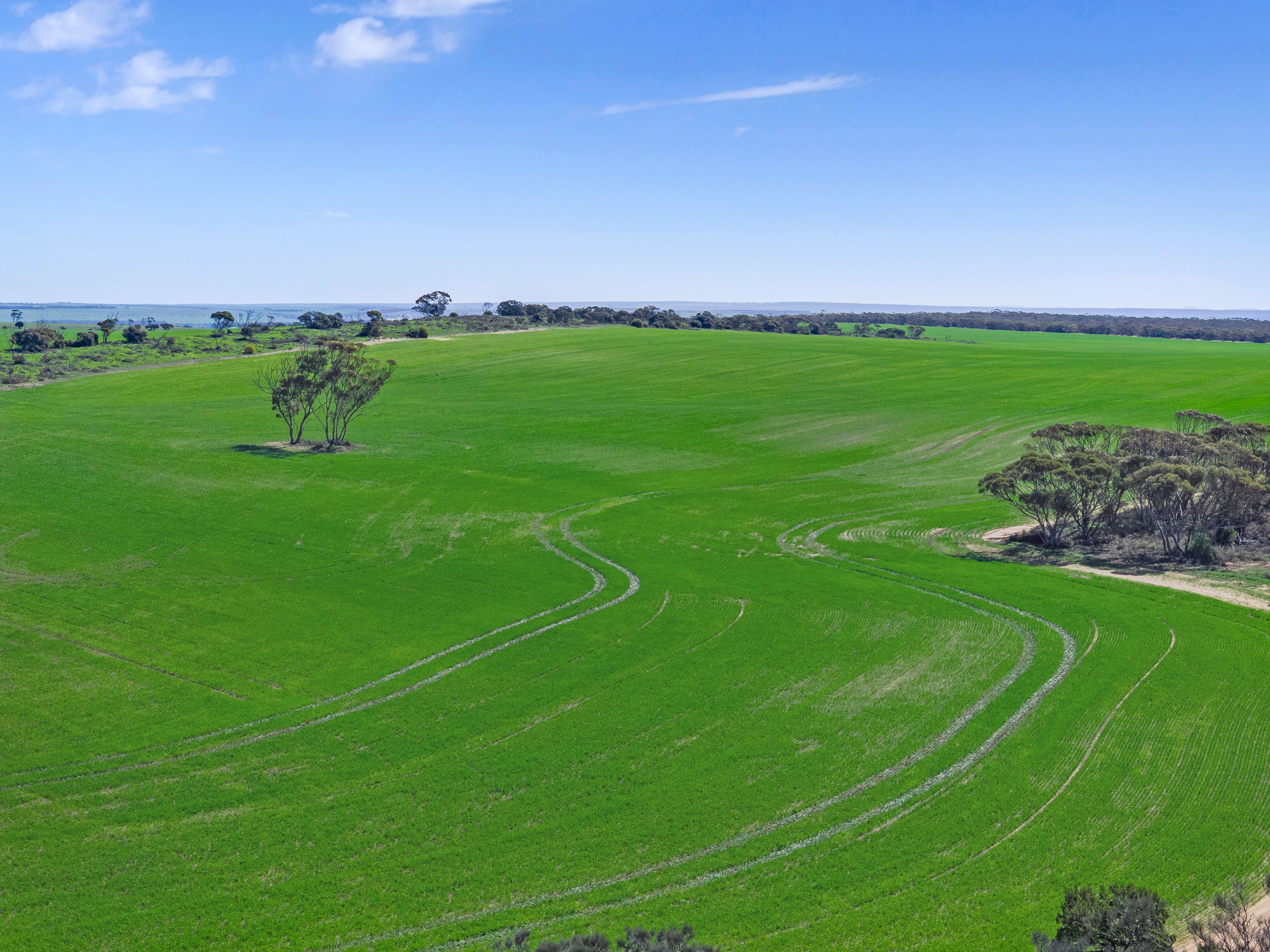 'Emu Rocks' Emu Rocks Road, Cortlinye, SA 5641