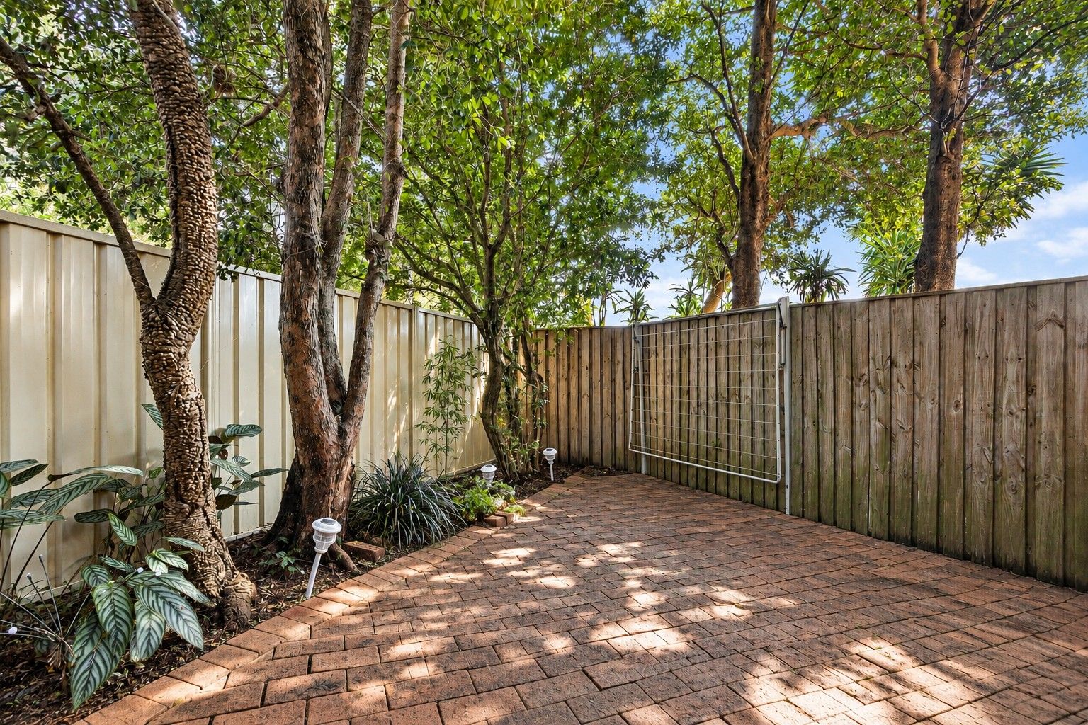 4/4 Catherine Street — photo 7 of 8