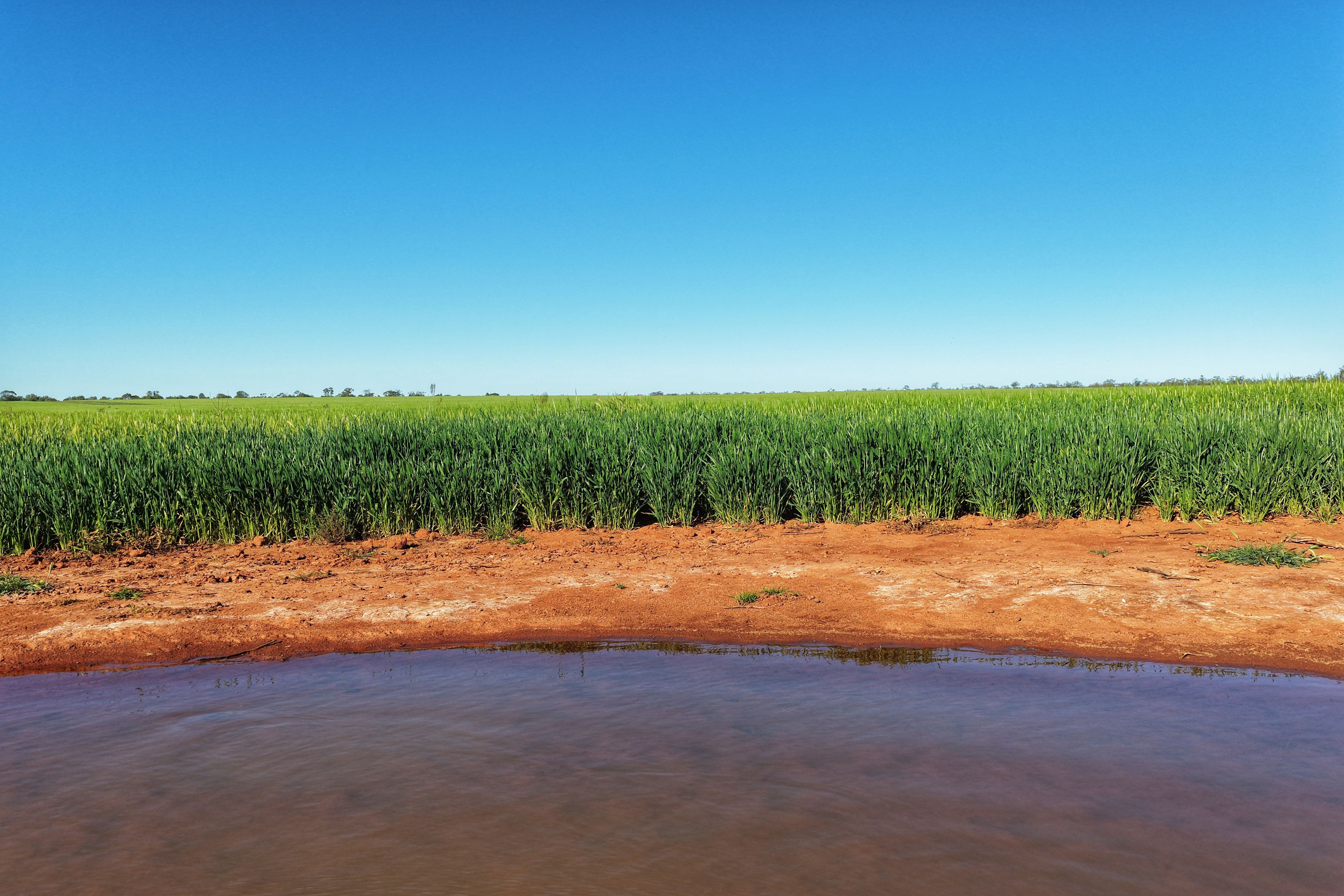 Crowie Peisley Road — photo from Ray White Parkes