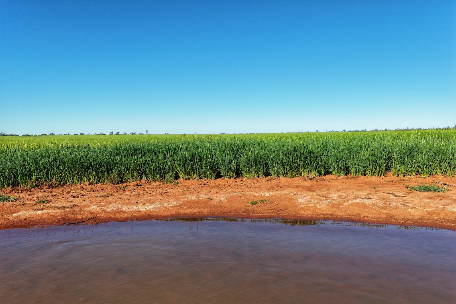Crowie Peisley Road, Nyngan, NSW 2825