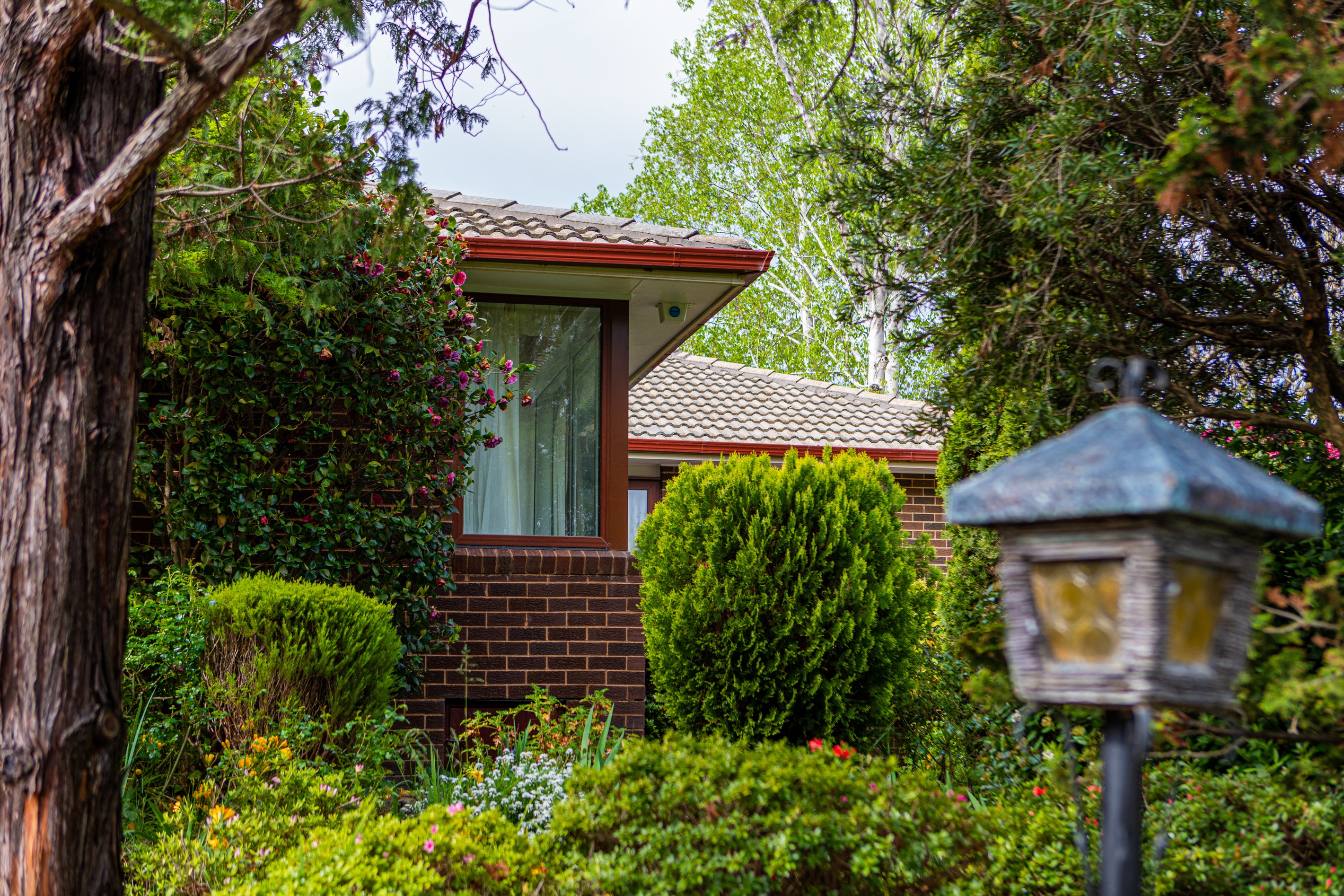 11 Messenger Street, Holt, ACT 2615