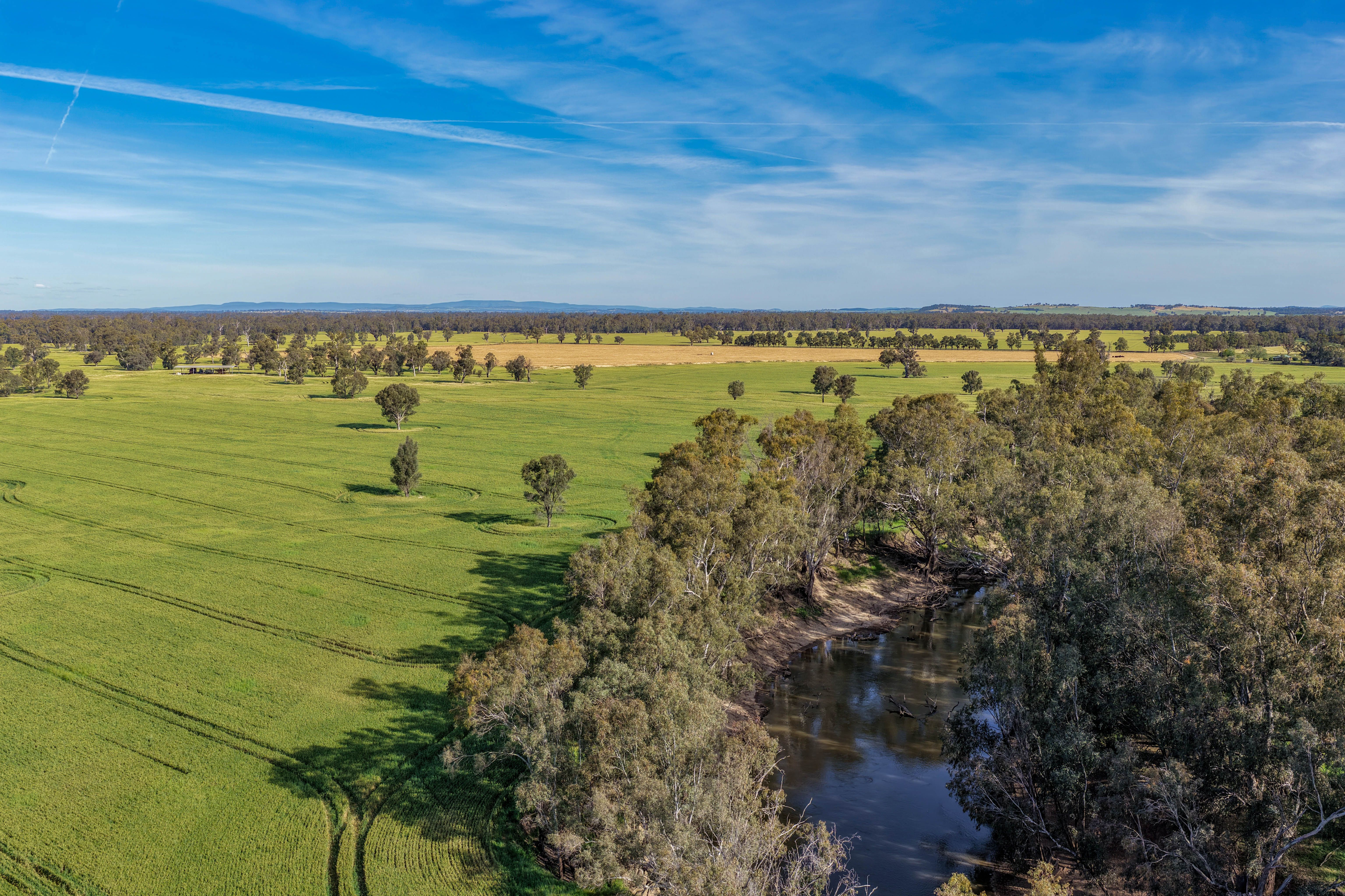 "Walangle" 84 Ercildoune Lane — photo from Ray White Parkes
