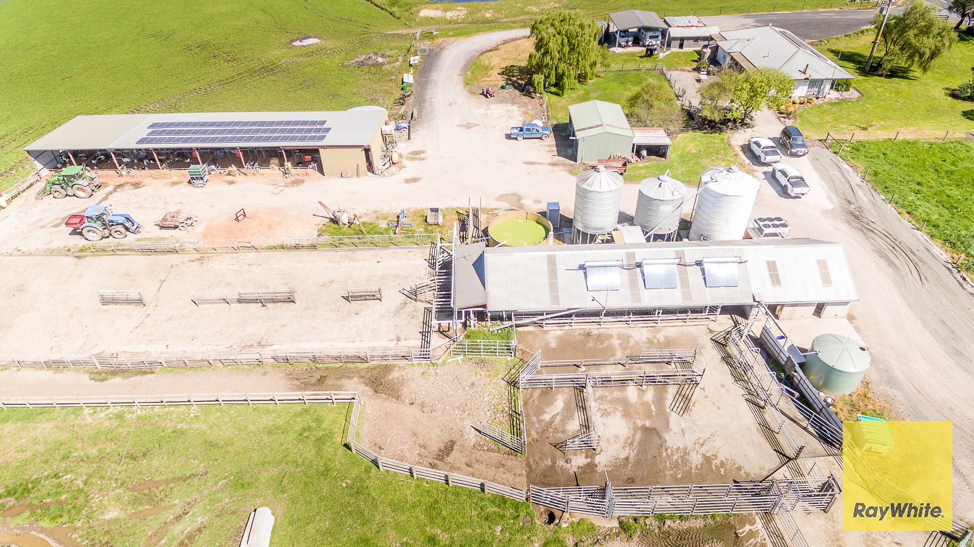 Outstanding Dairy Opportunity — photo 5 of 30