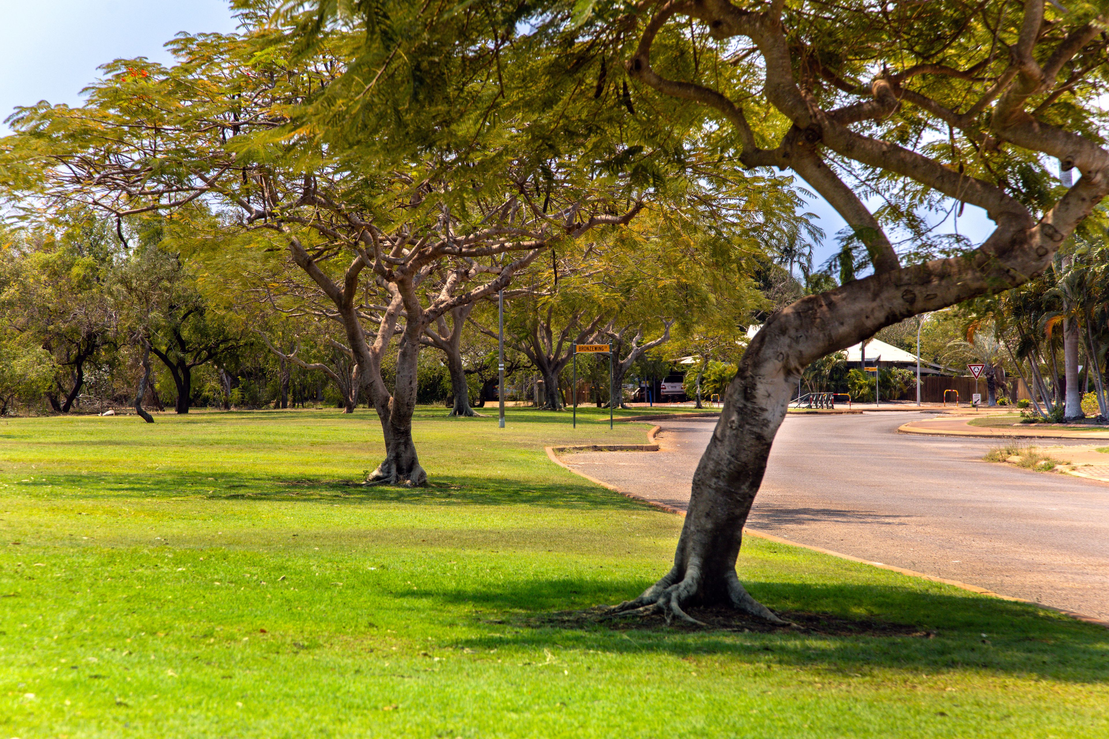 Lot 978 Dotterel Street, Djugun, WA 6725 Land for Sale Broome Real