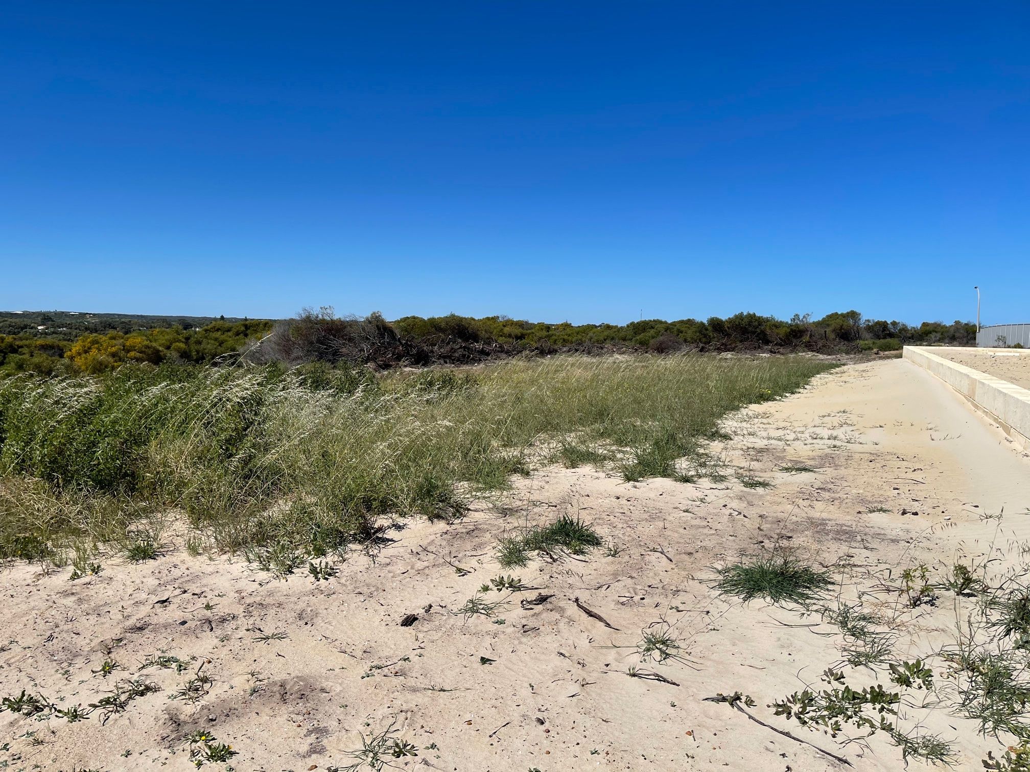 108 North Shore Drive, Dongara, WA 6525