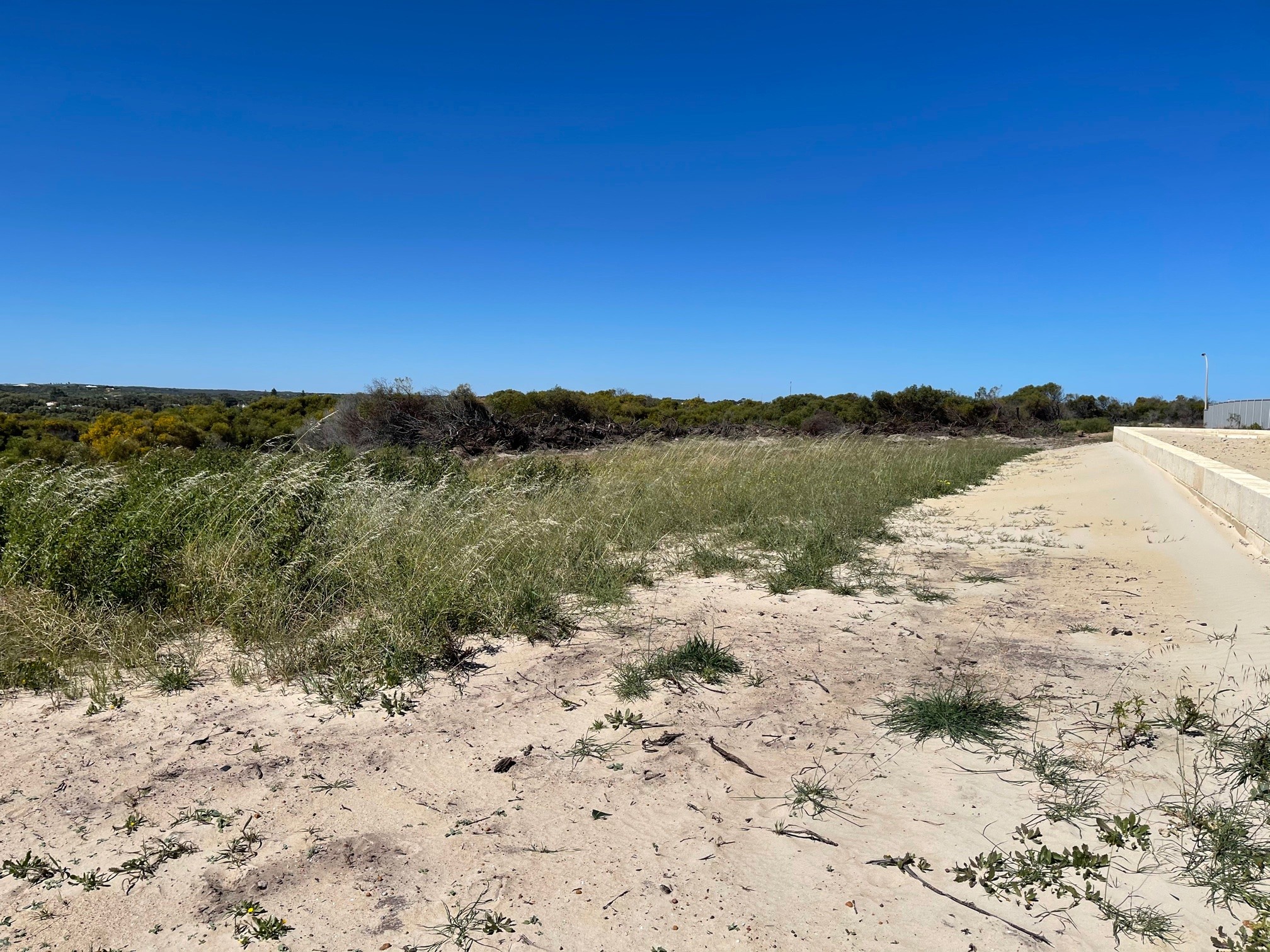108 North Shore Drive, Dongara, WA 6525