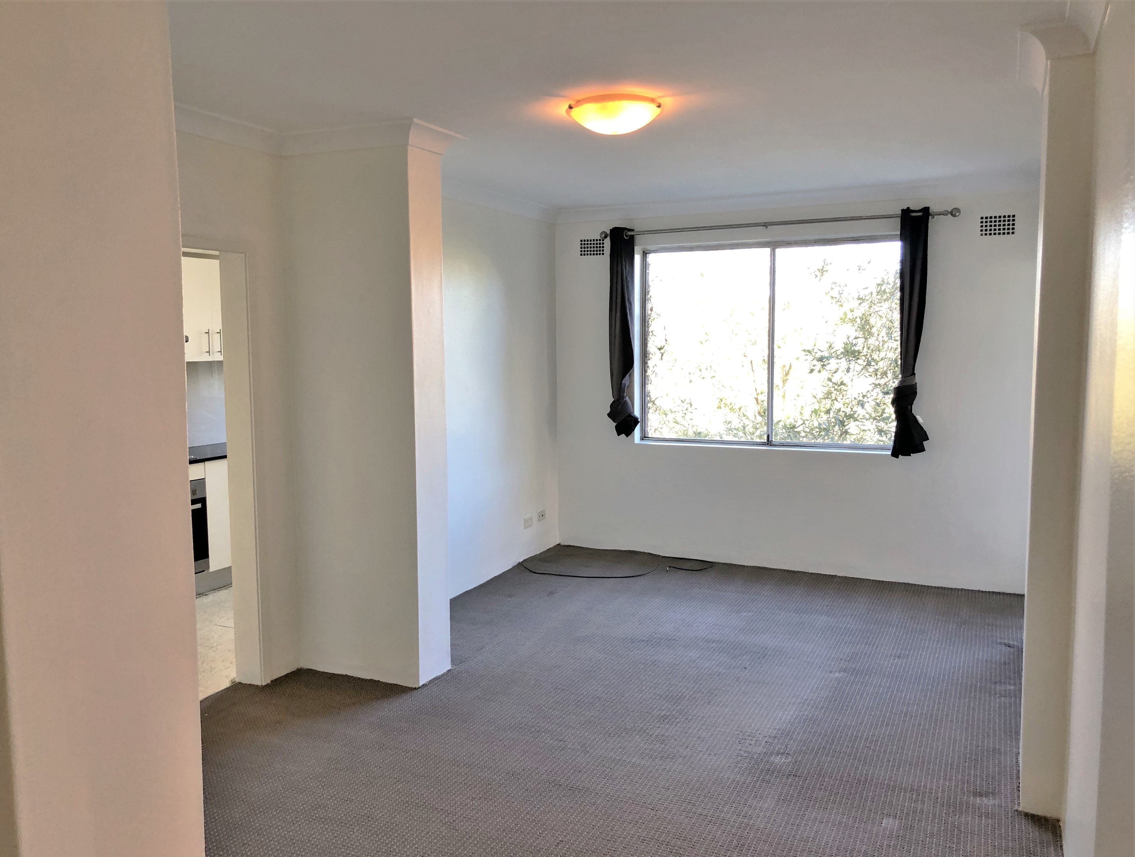 233 Alison Road, Randwick, NSW 2031