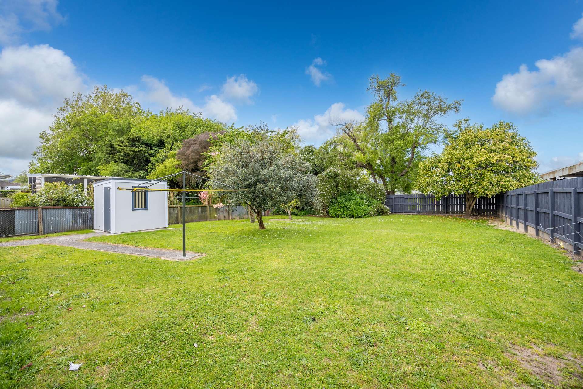 8 Chisholm Street photo 16