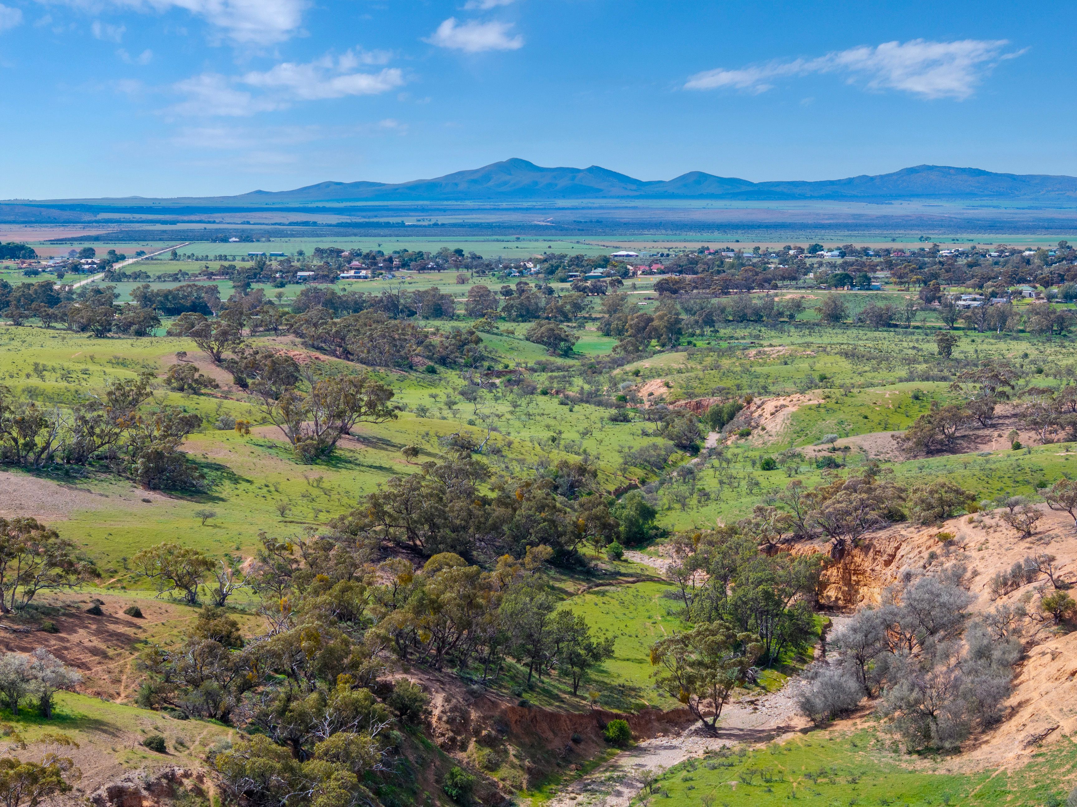 'Turner's House' Arthur Road, Orroroo, SA 5431