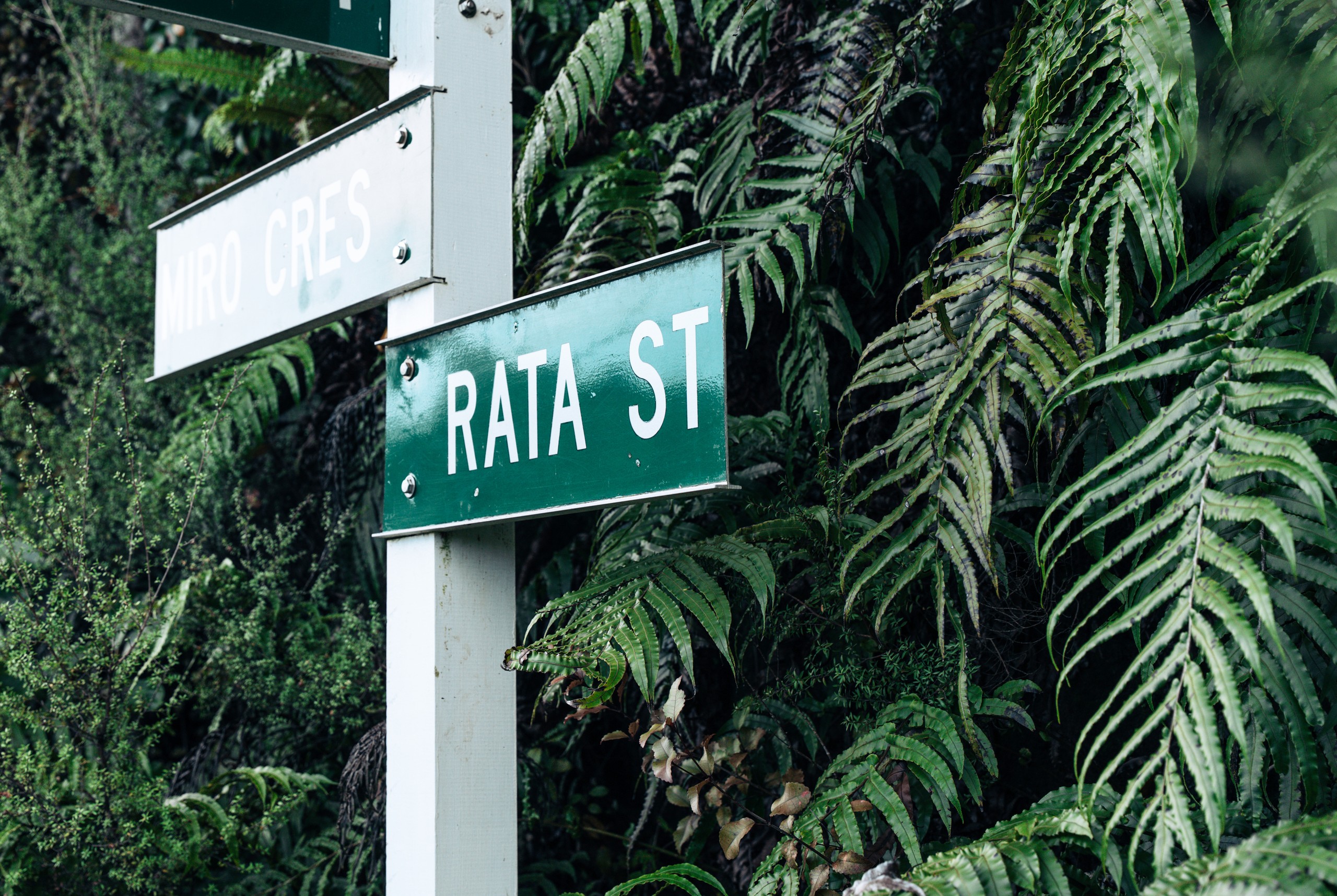 9 Rata Street, Stewart Island, Southland District