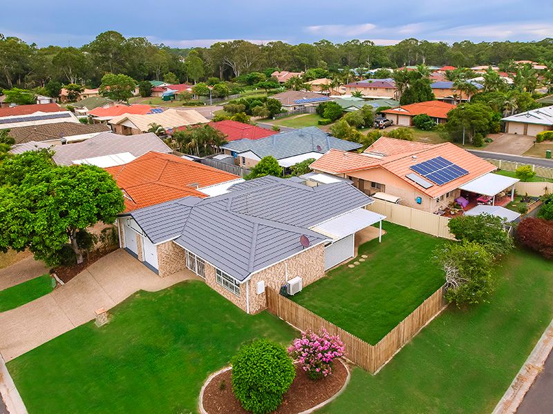 11 Ashwood Circuit, Birkdale, QLD 4159