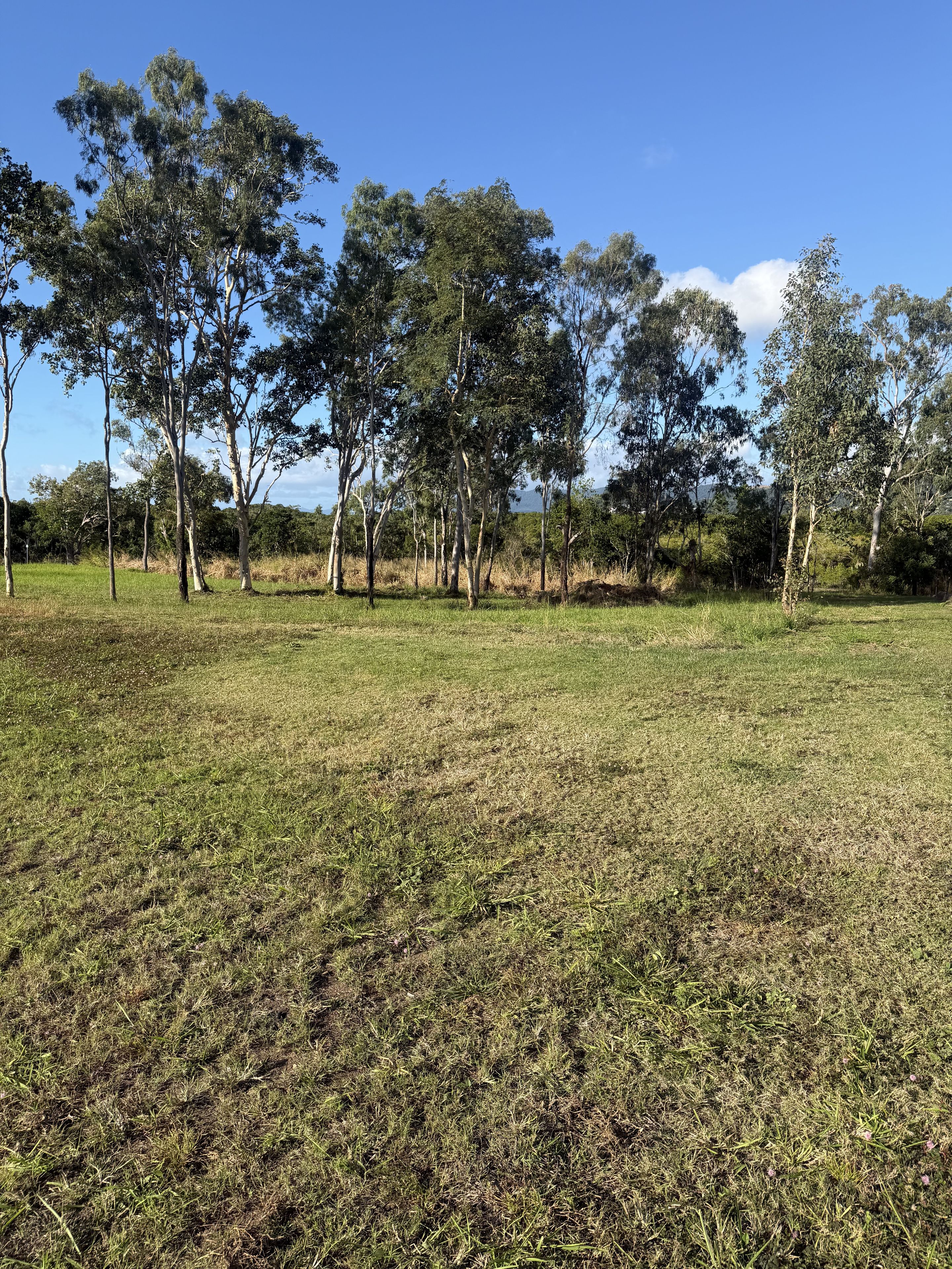Lot 36 Woodwark Rise — photo 5 of 7