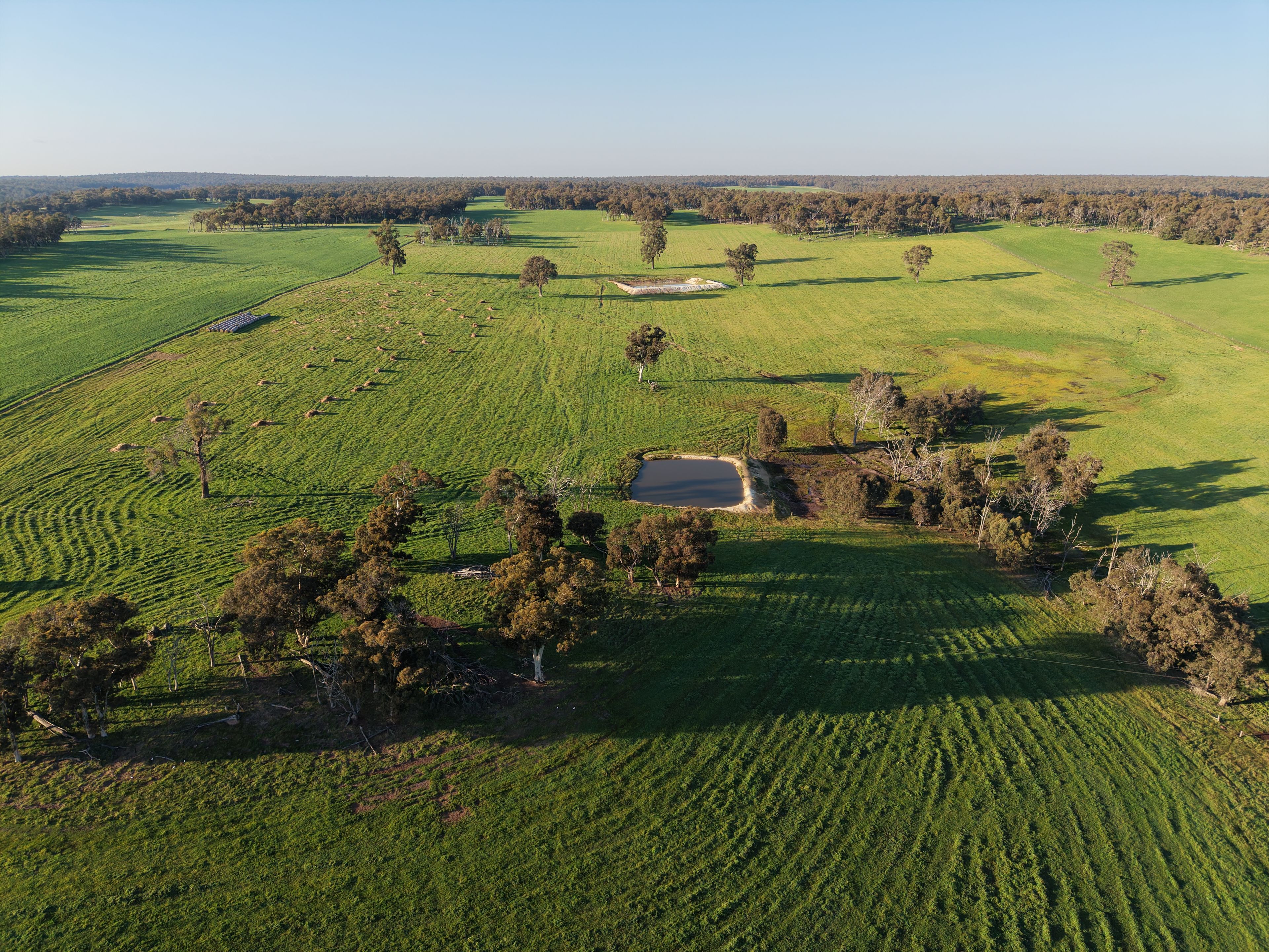 Lot 6694 Scotts Brook Road — photo 9 of 9