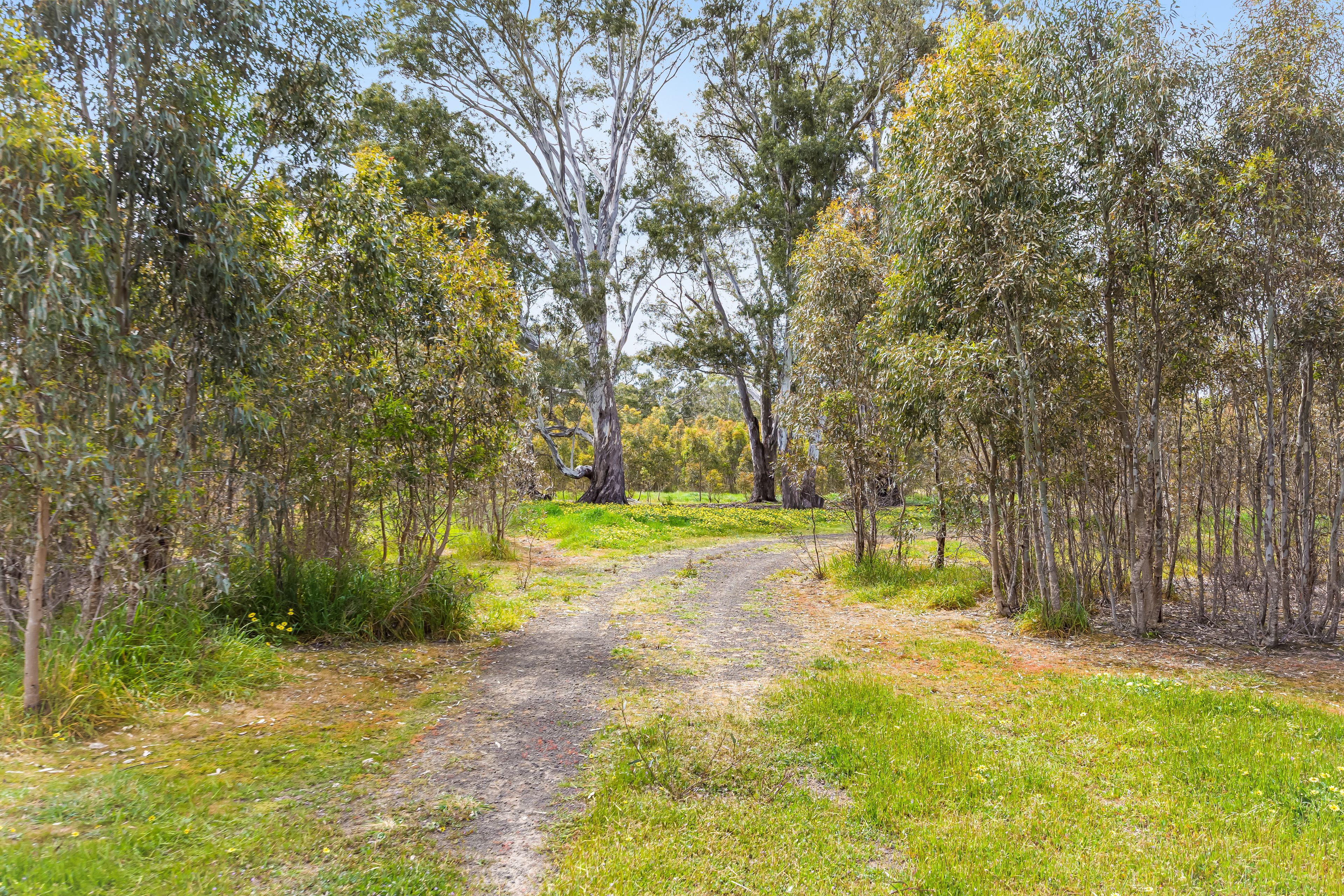 180 Halls Road, Talbot, VIC 3371