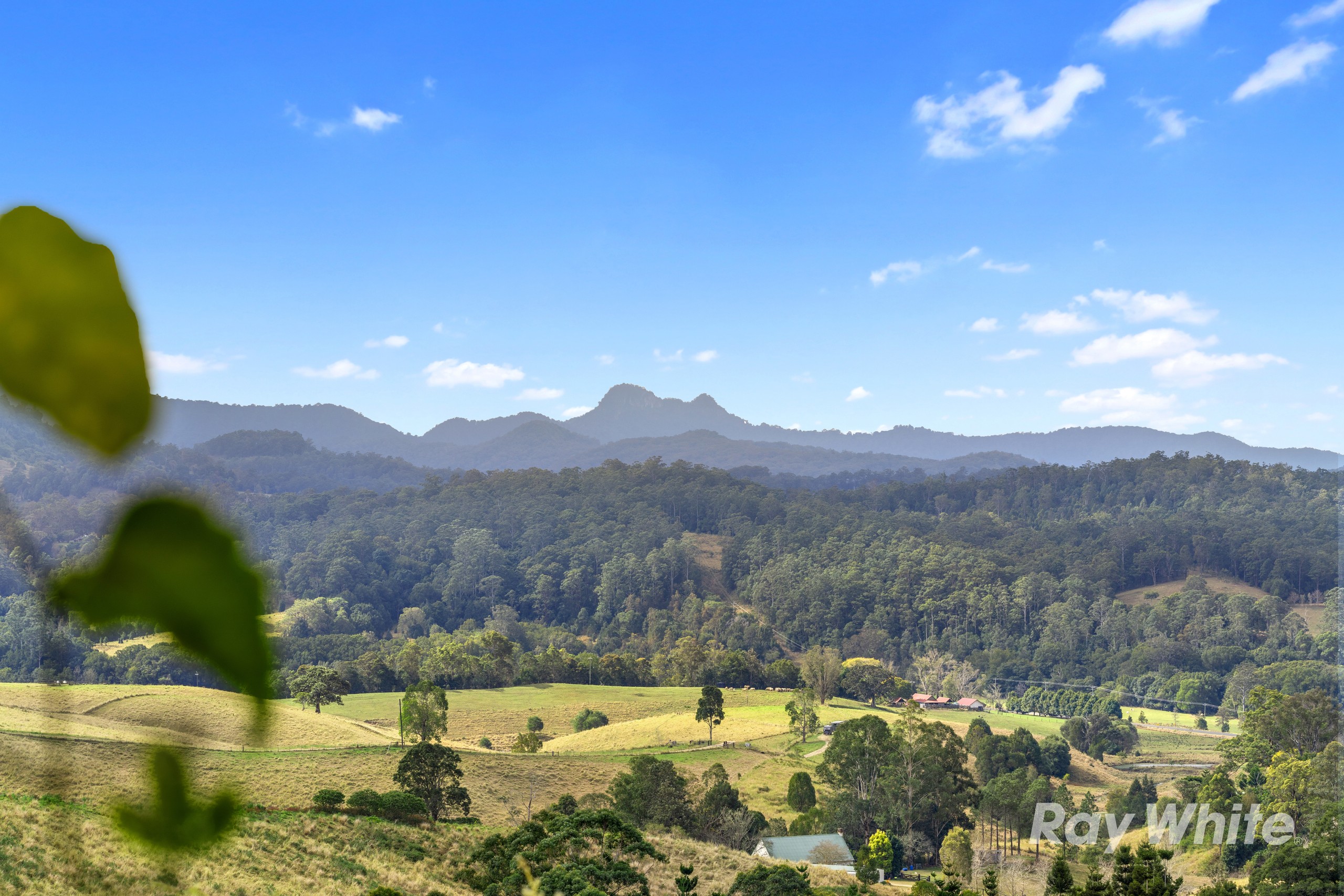48 Boxsell Road, Limpinwood, NSW 2484