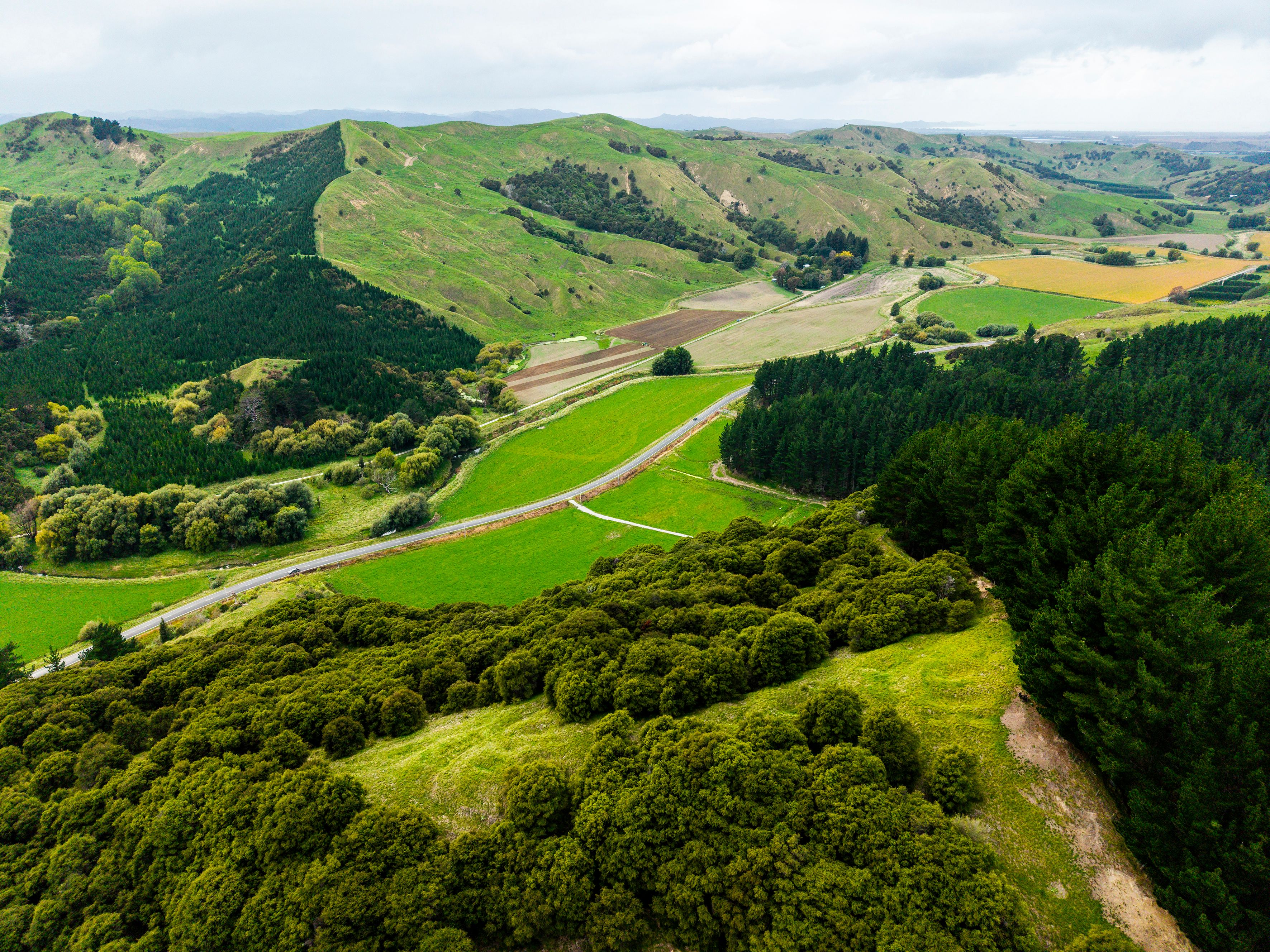 1247 Wharekopae Road, Ngatapa, Gisborne District