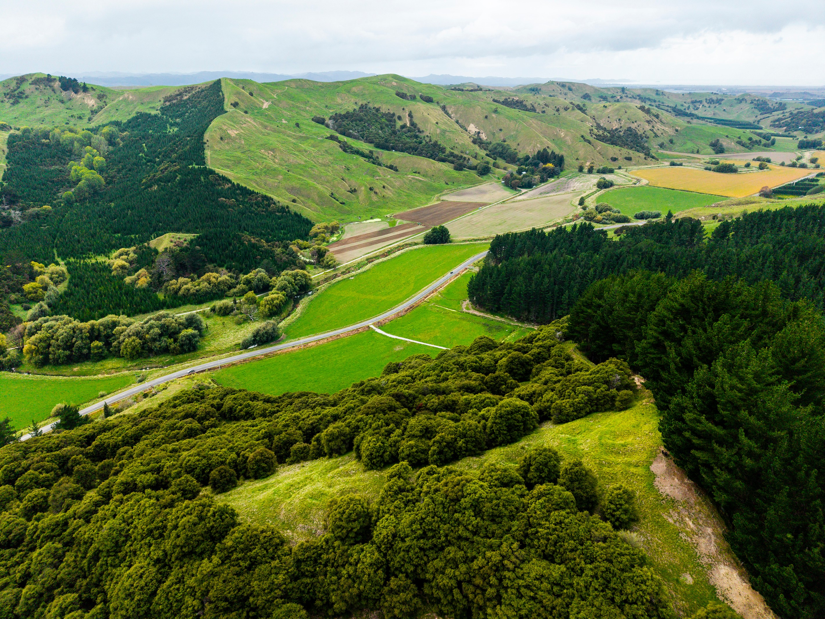 1247 Wharekopae Road, Ngatapa, Gisborne District