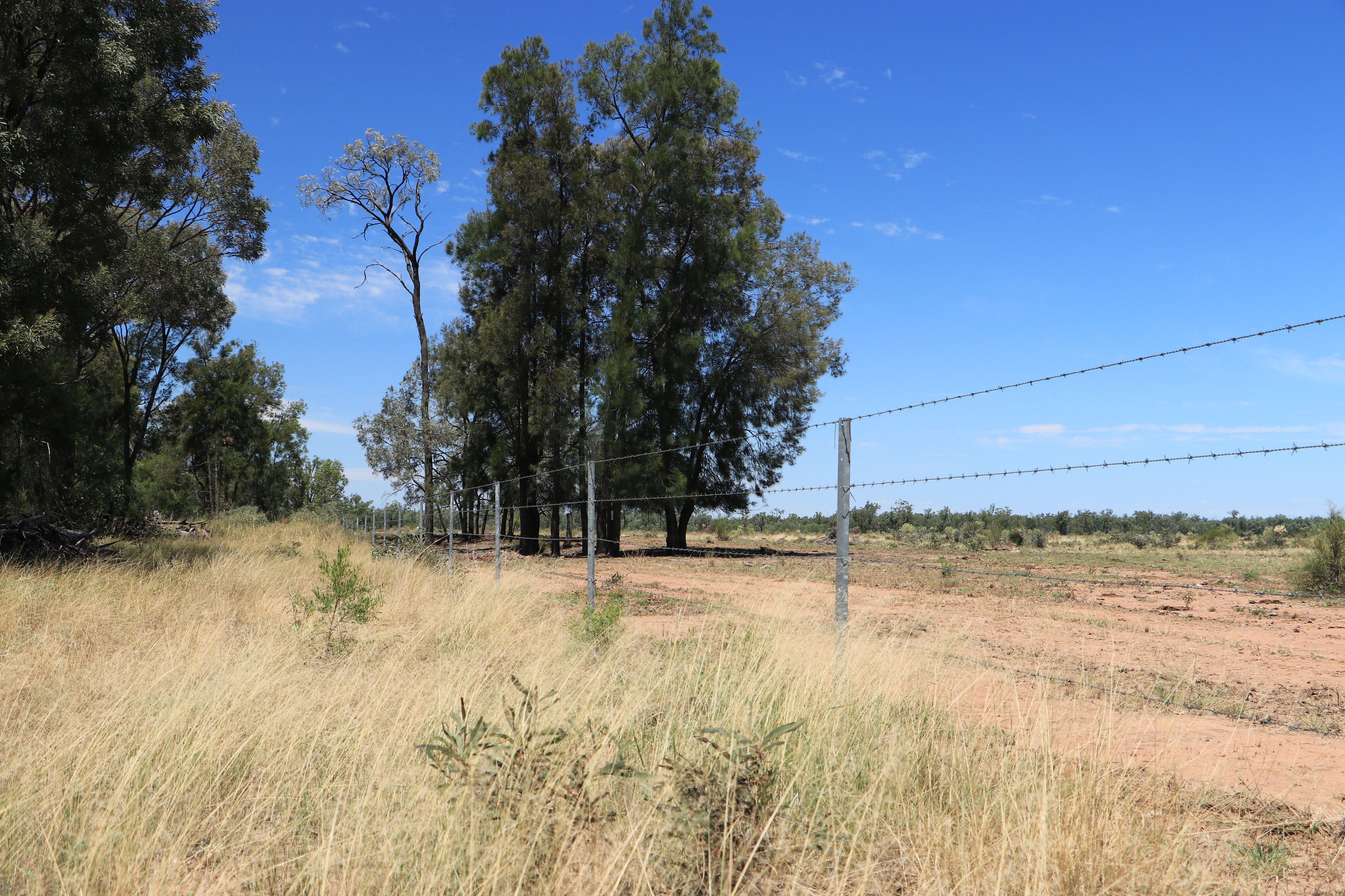 555 Yuleba Surat Road — photo 7 of 28