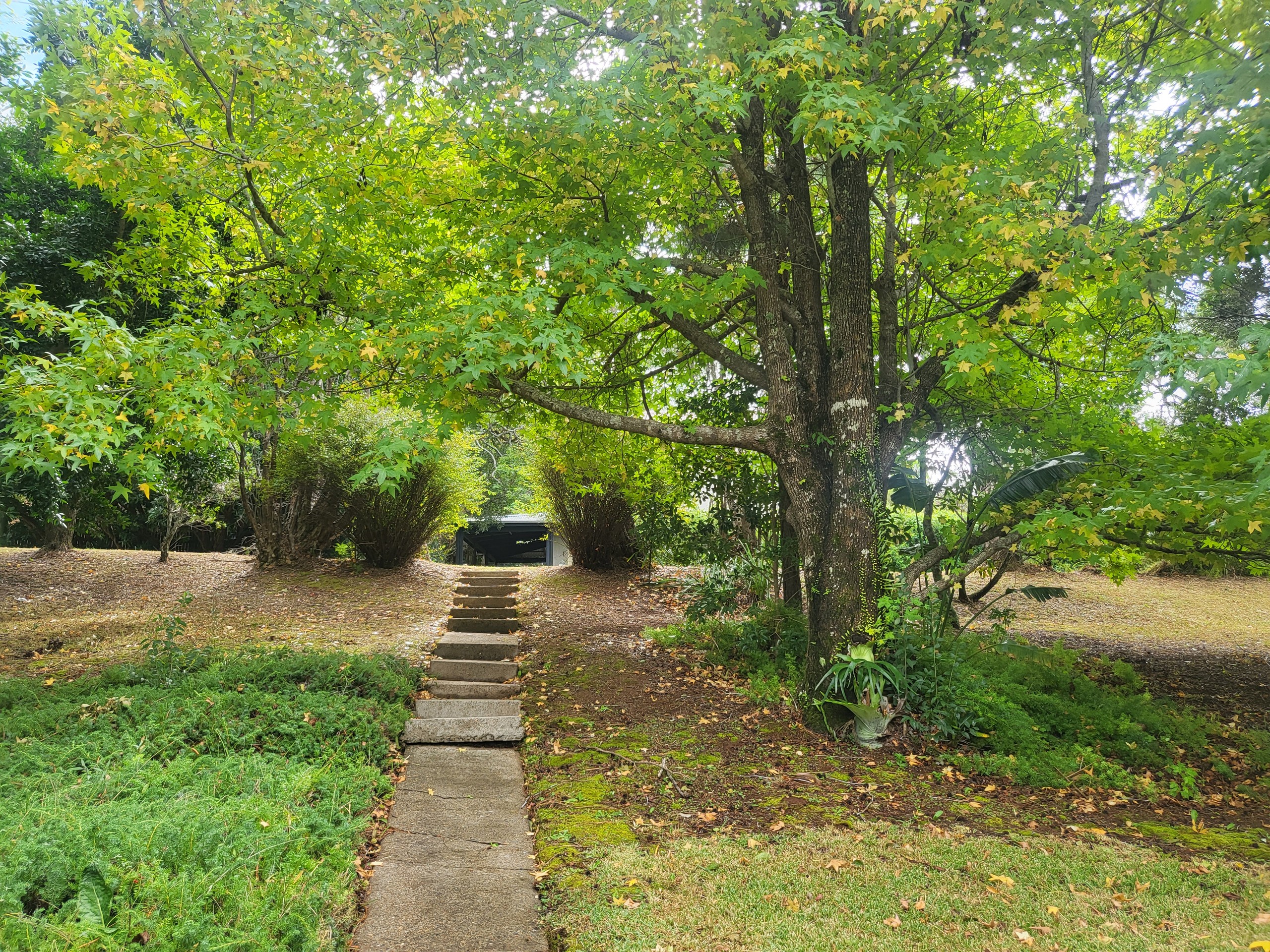 49 Magnetic Drive, Tamborine Mountain, QLD 4272