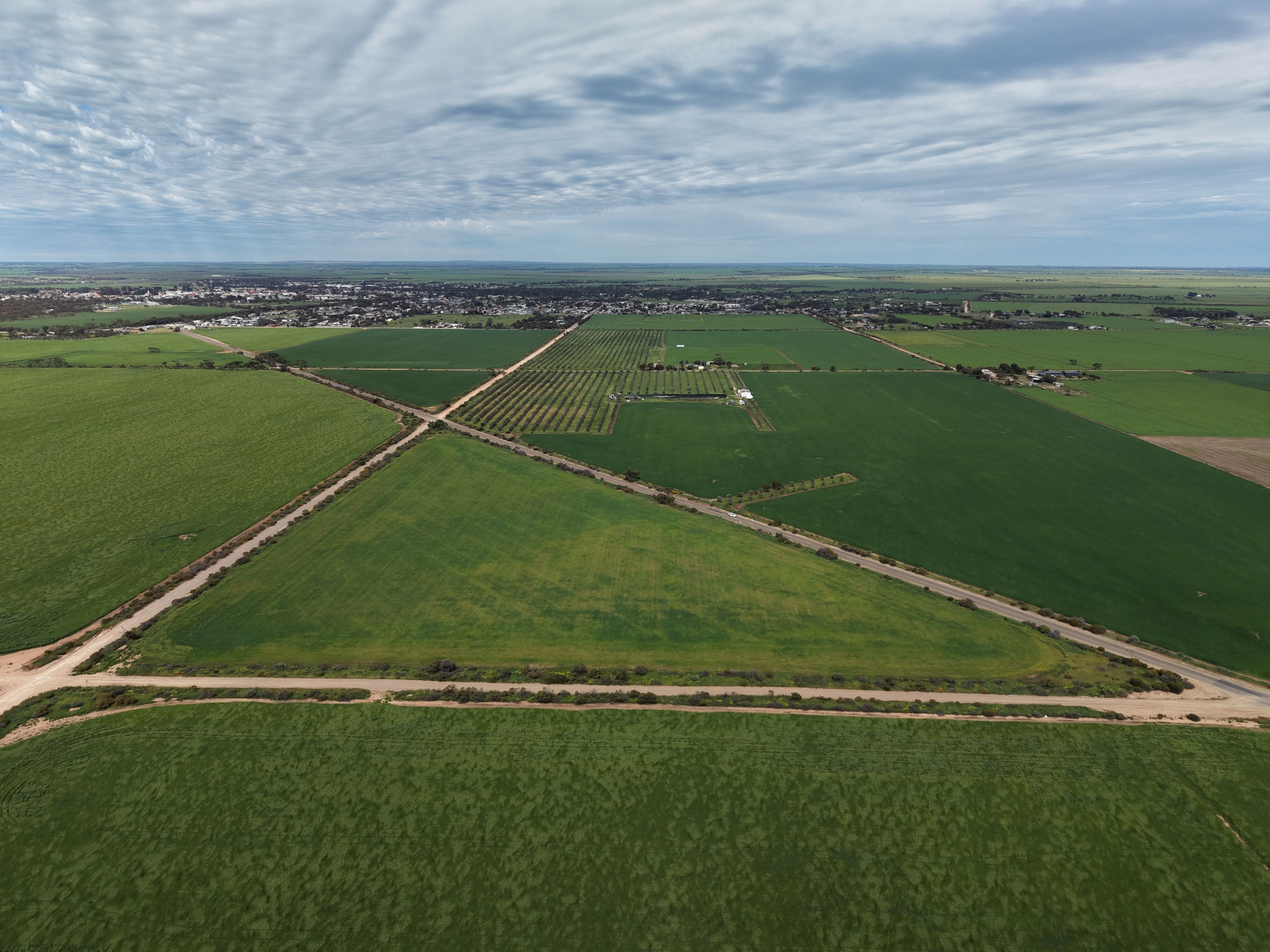 60 Hectares of Rural Cropping Land — photo 6 of 7