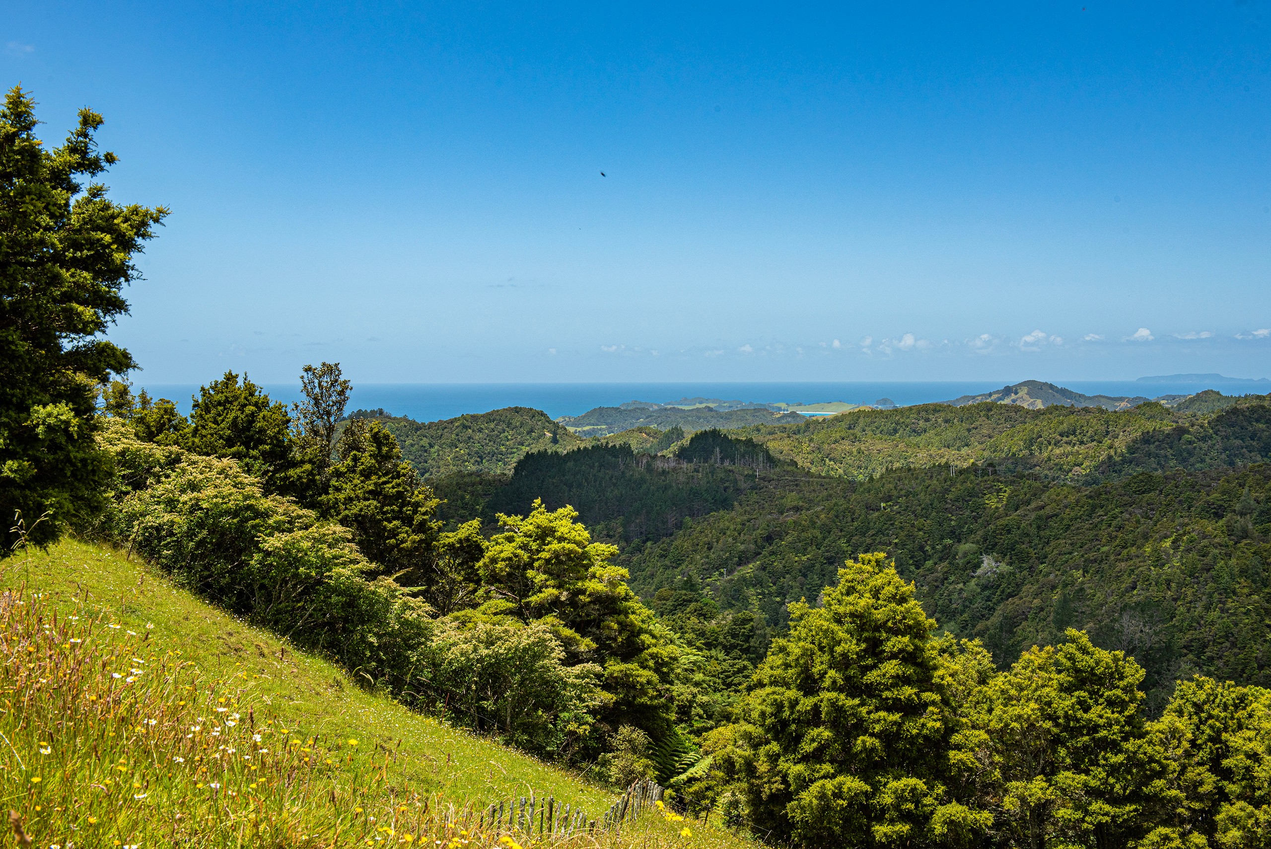 1403 Russell Road, Helena Bay, Whangarei District