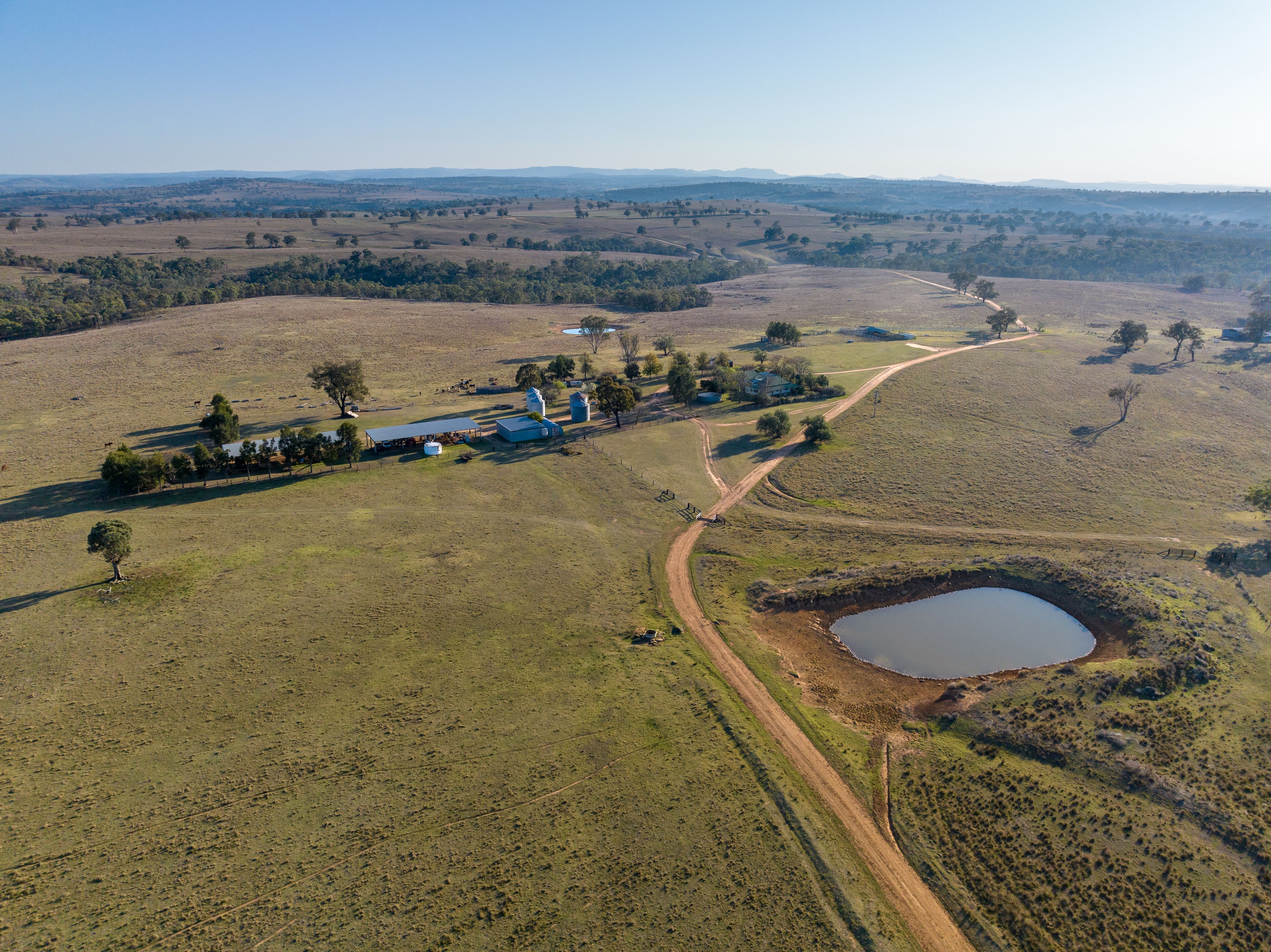 "Summer Hill & Rosedale" 1560 Summerhill Road, Cassilis, NSW 2329 Sold Rural Mixed Farming