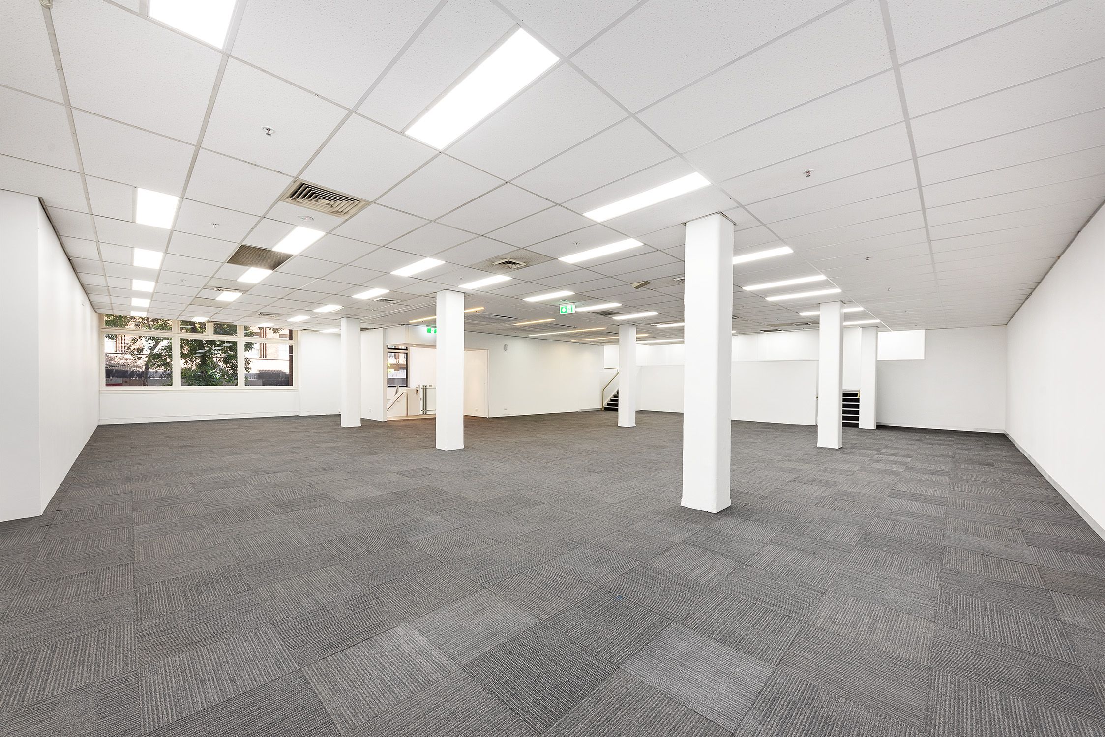 Shop 5/144 Clarence Street, Sydney, NSW 2000