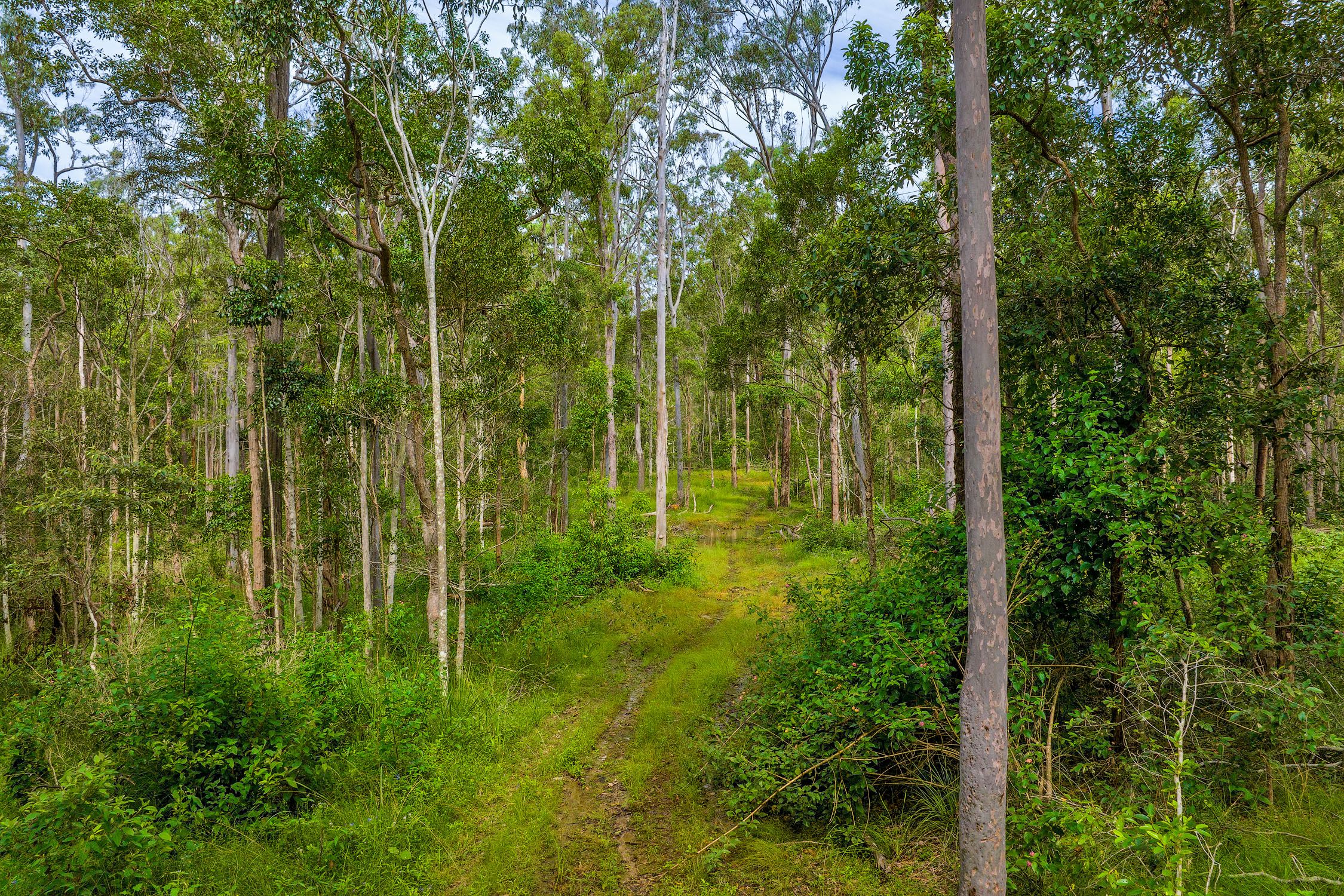 Lot 984 Arborfourteen Road, Glenwood, QLD 4570