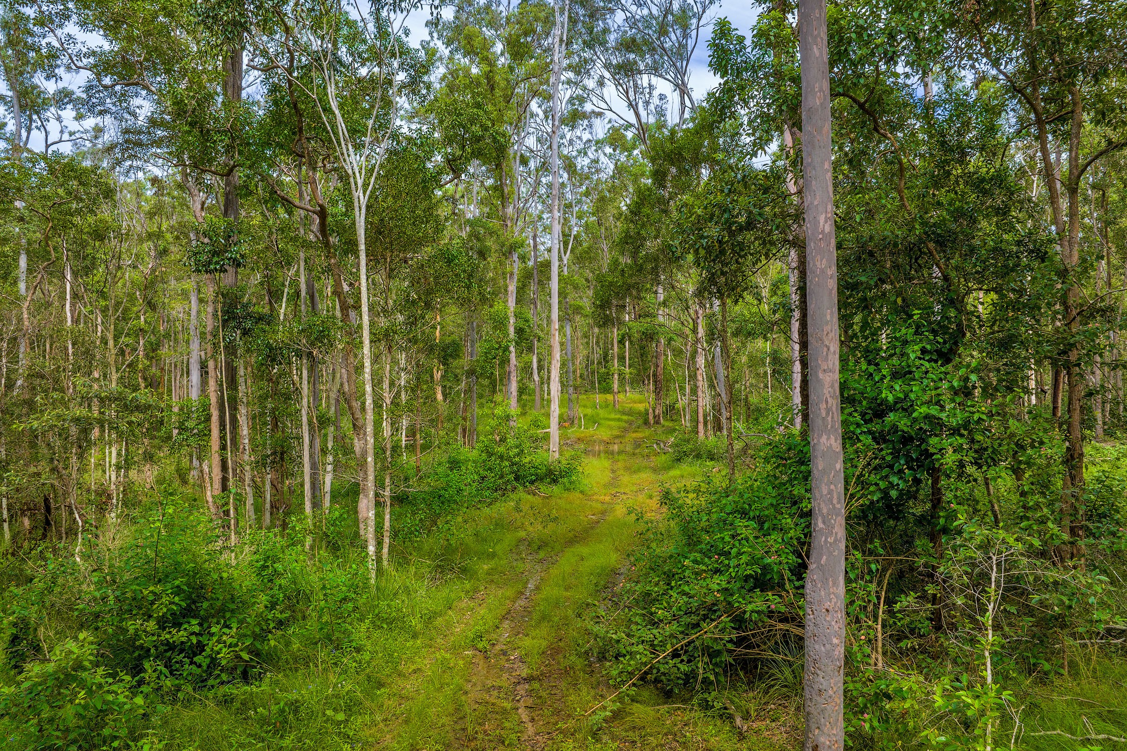 Lot 984 Arborfourteen Road, Glenwood, QLD 4570