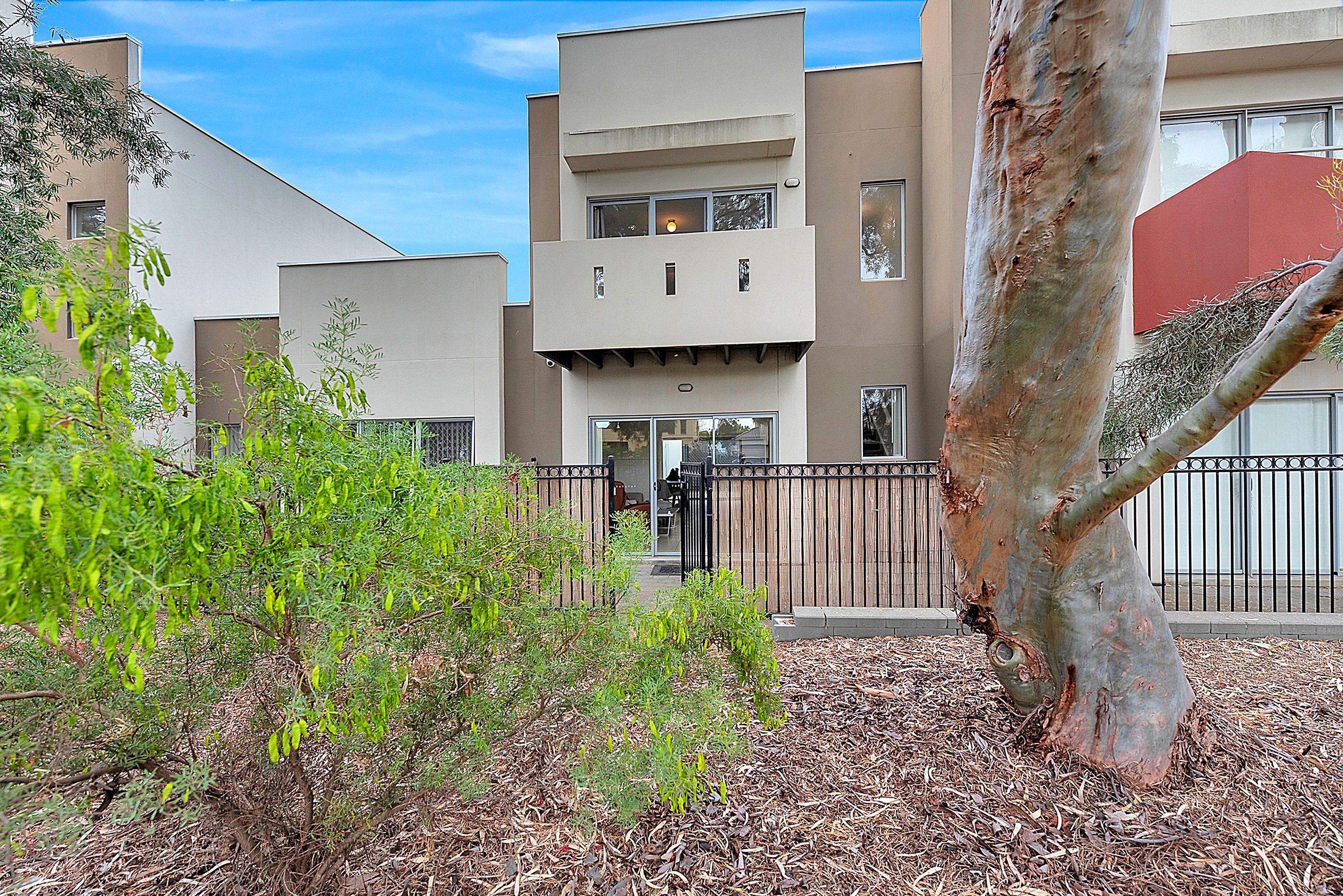 55 Grasswren Way, Mawson Lakes SA 5095
