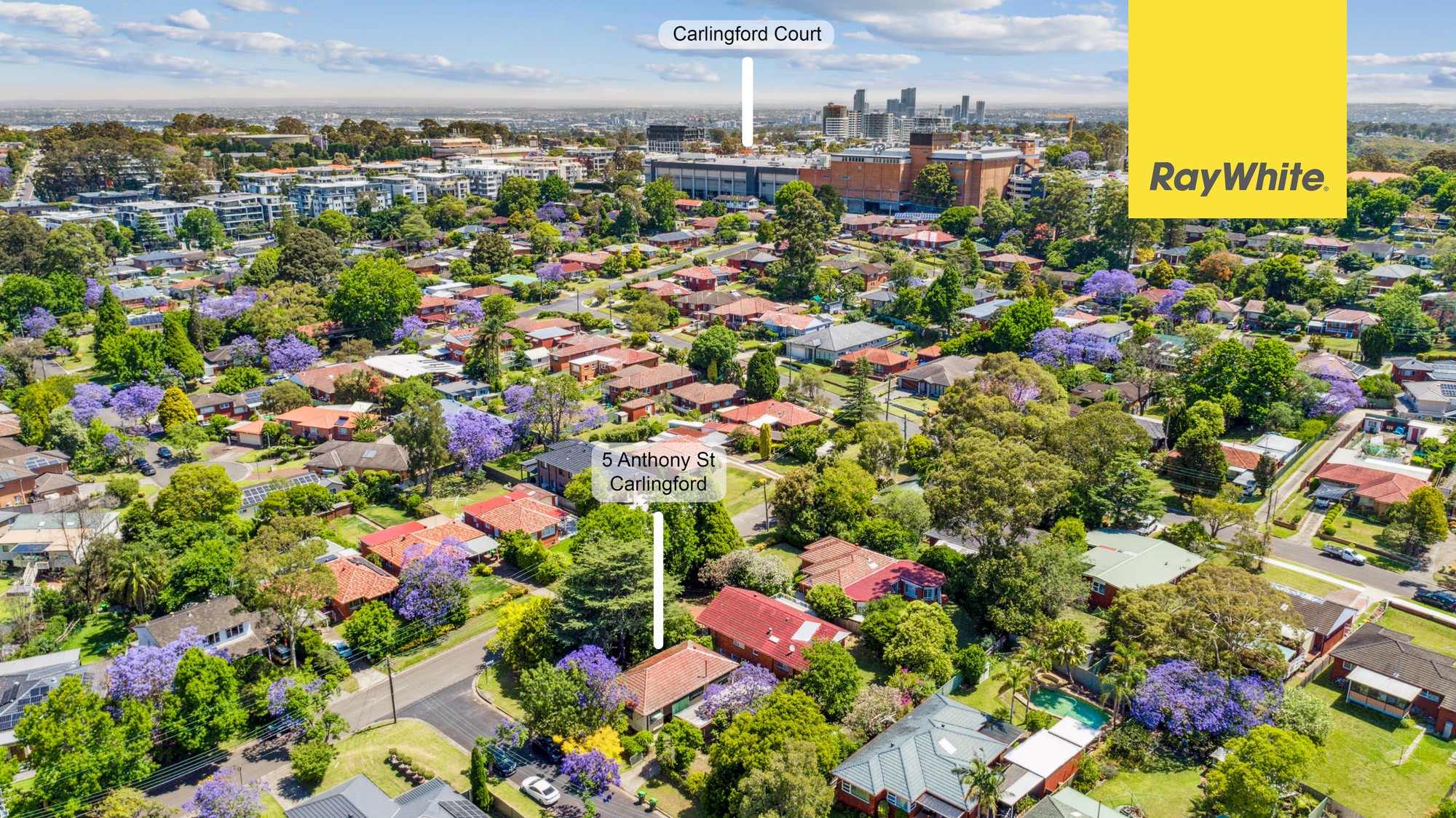 5 Anthony Street, Carlingford, NSW 2118