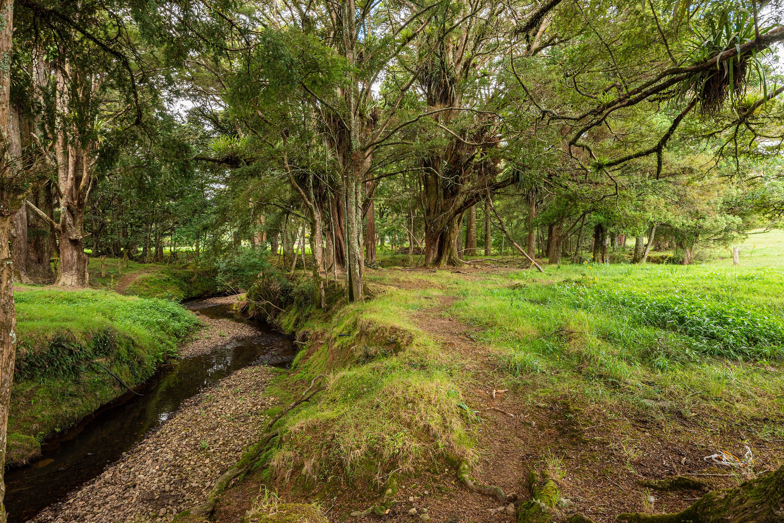 453 Pigs Head Road, Opuawhanga, Whangarei District