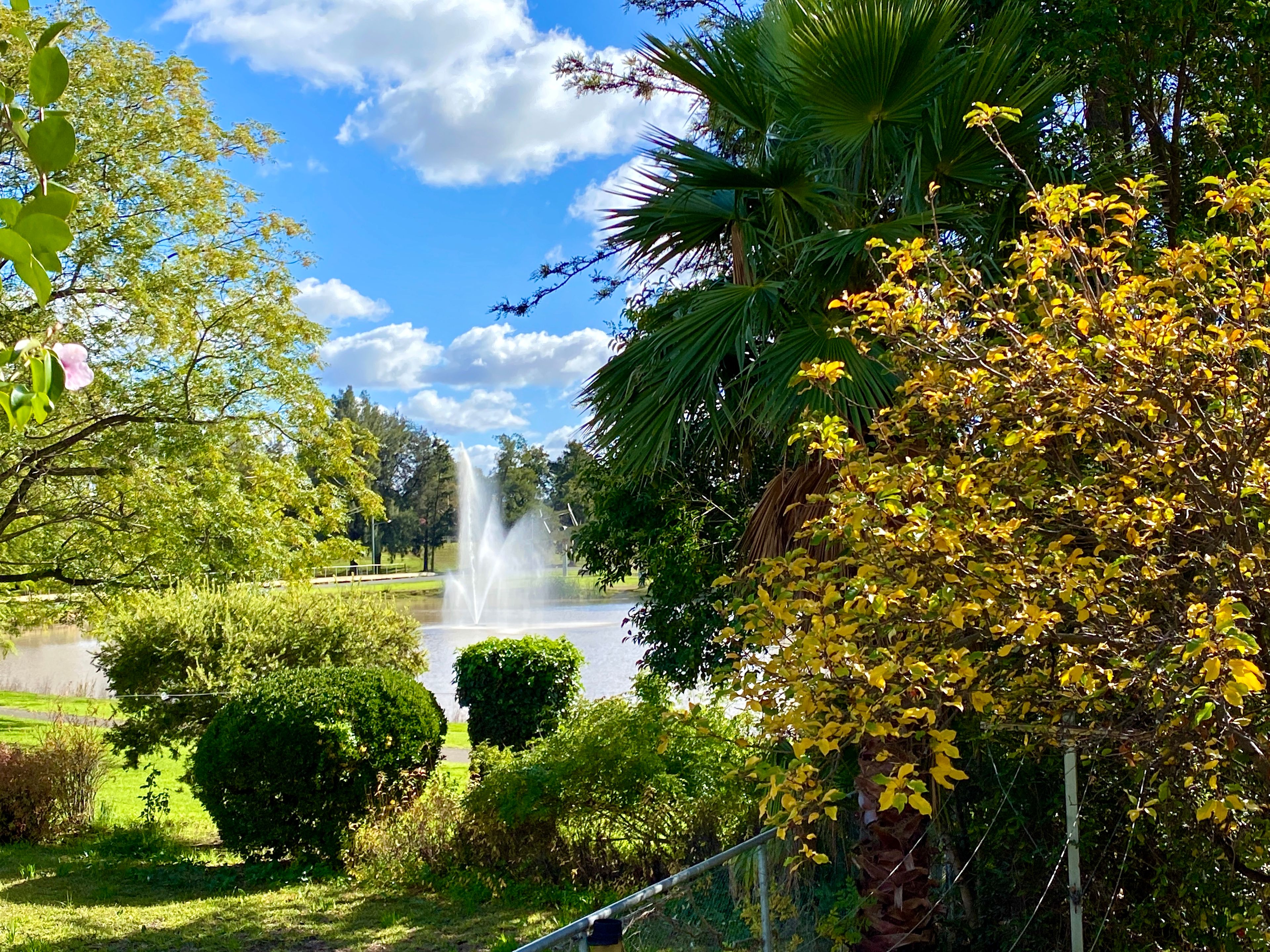 14 Bandon Street, Forbes, NSW 2871