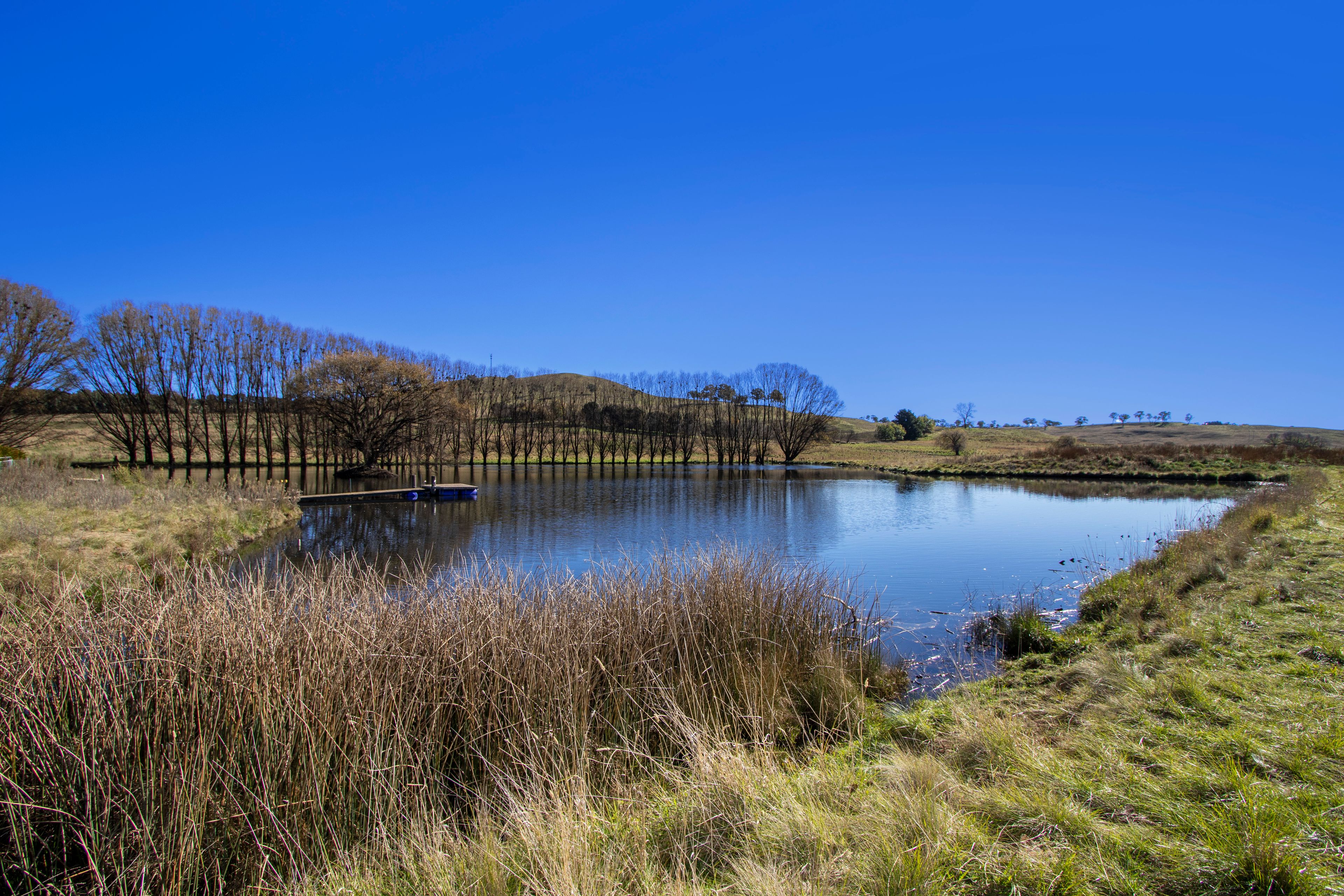 "West Urandangie" 207 Urandangie Road, Guyra, NSW 2365 Sold Rural