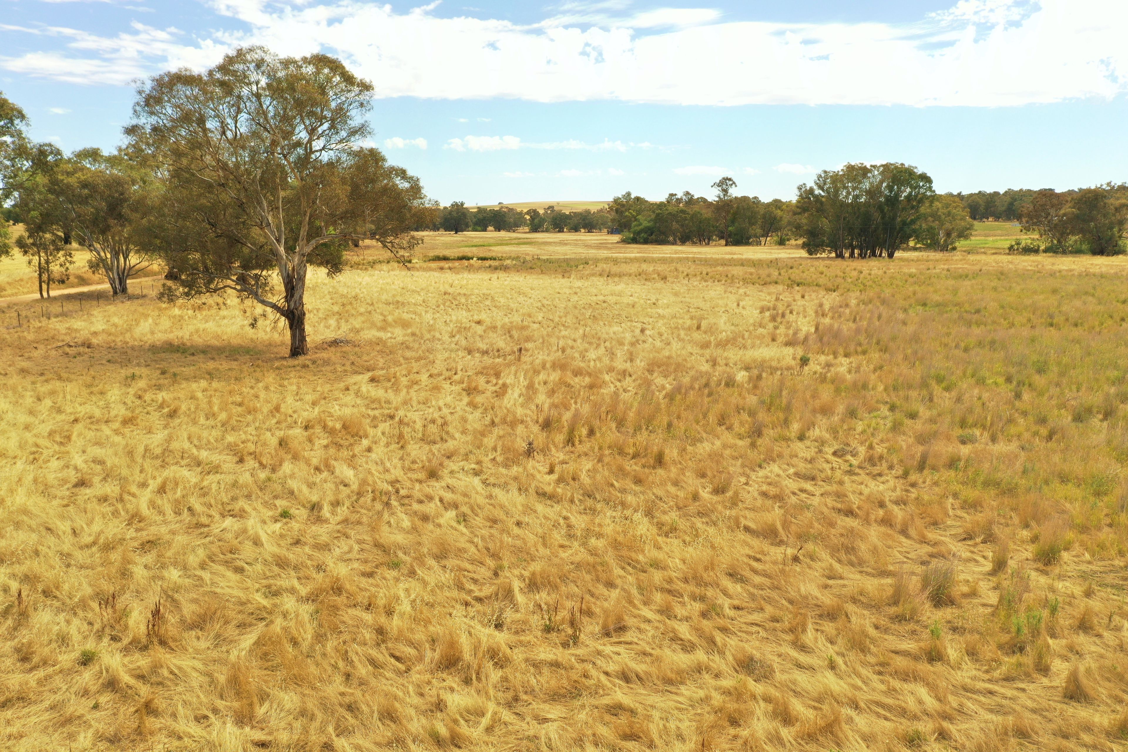(Part) 1726 Jerrybang Lane, Monteagle, NSW 2594 Land for Sale Ray