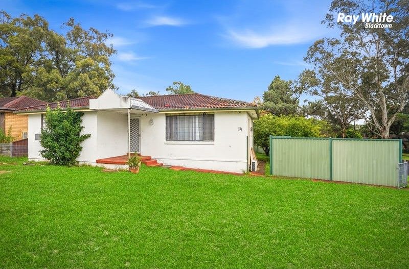 14 Warren Street, Quakers Hill NSW 2763