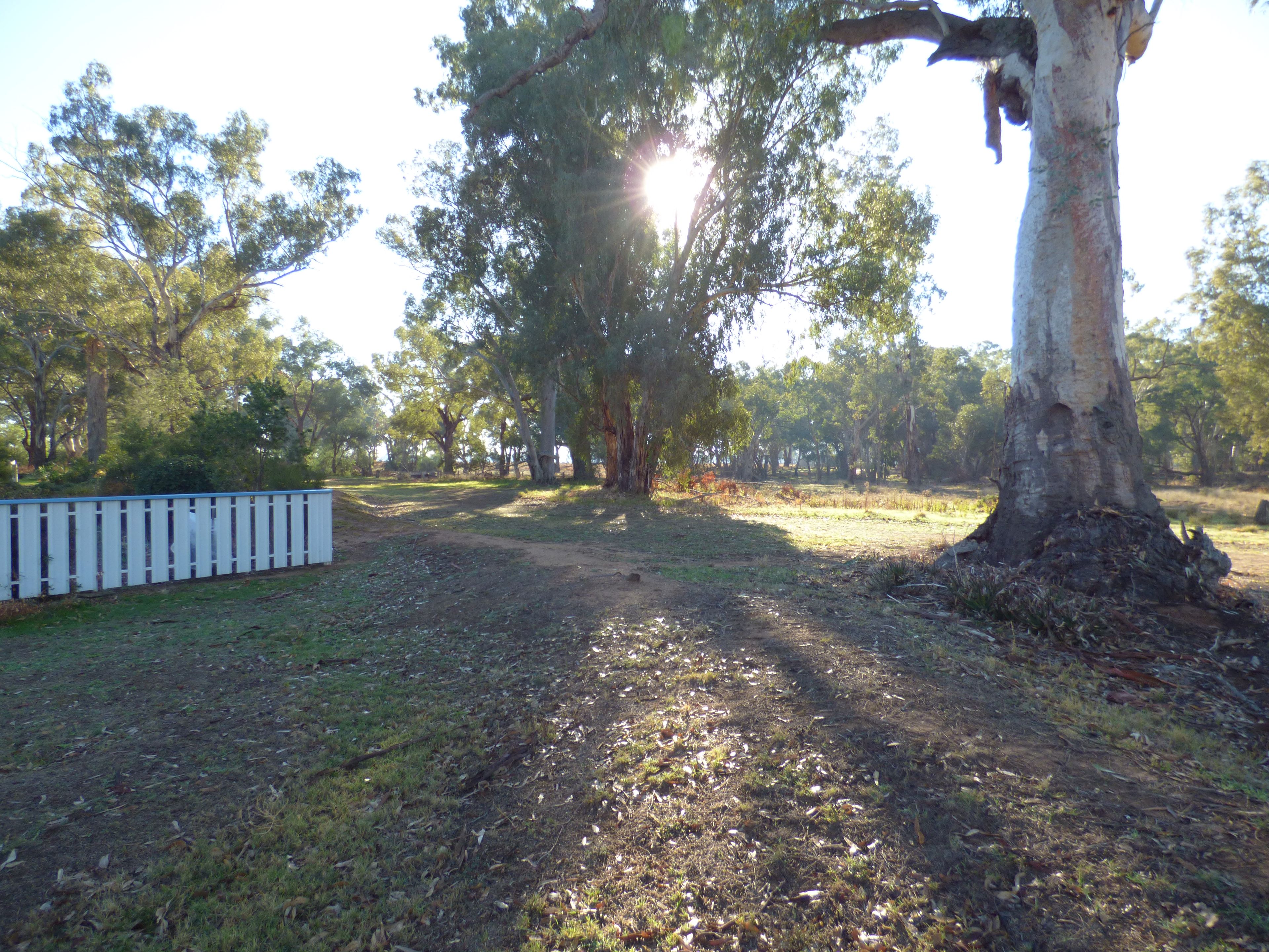 "Yileen" 3070 Bedgerebong Road, Bedgerebong, NSW 2871