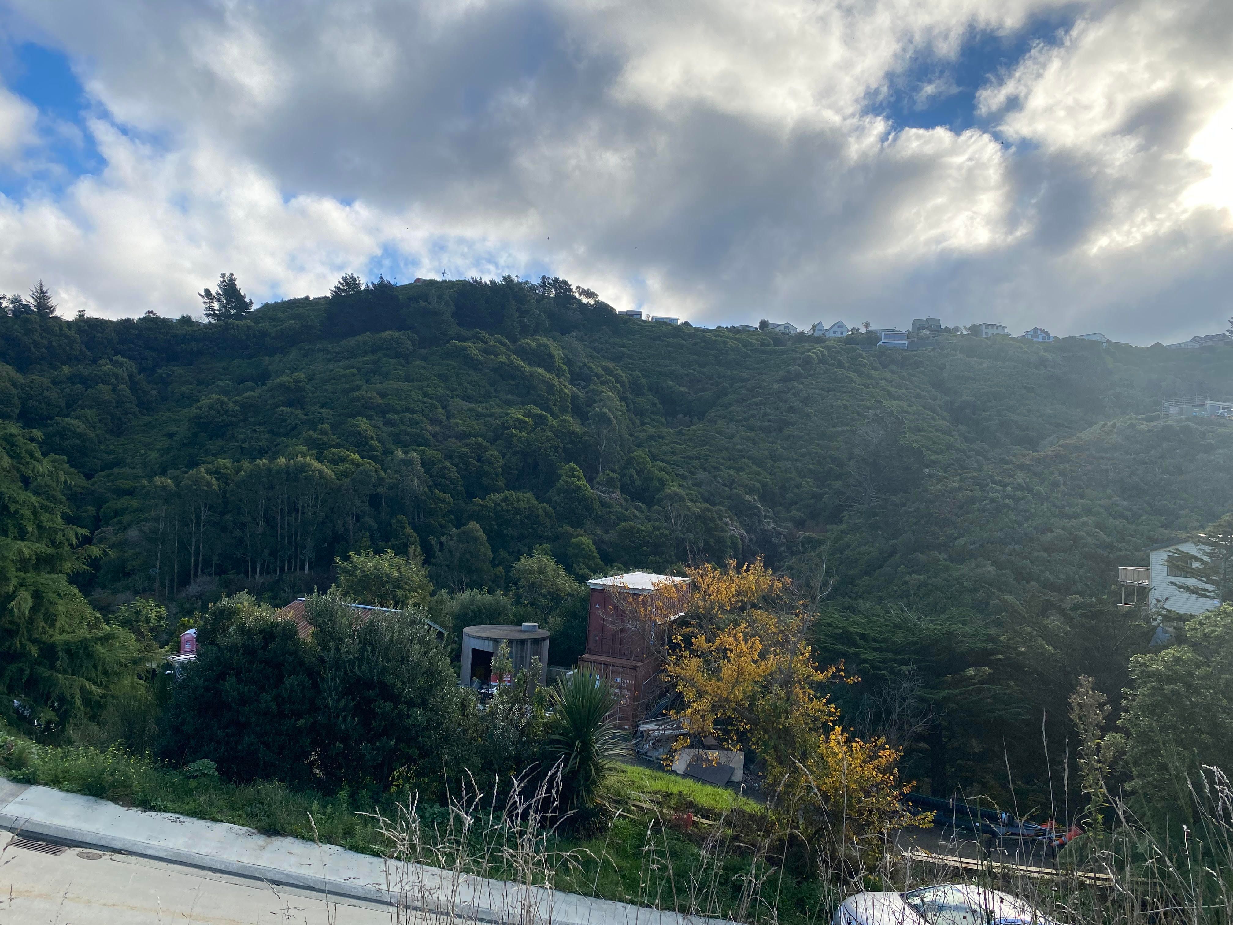 5 Livingstone Street, Brooklyn, Wellington City