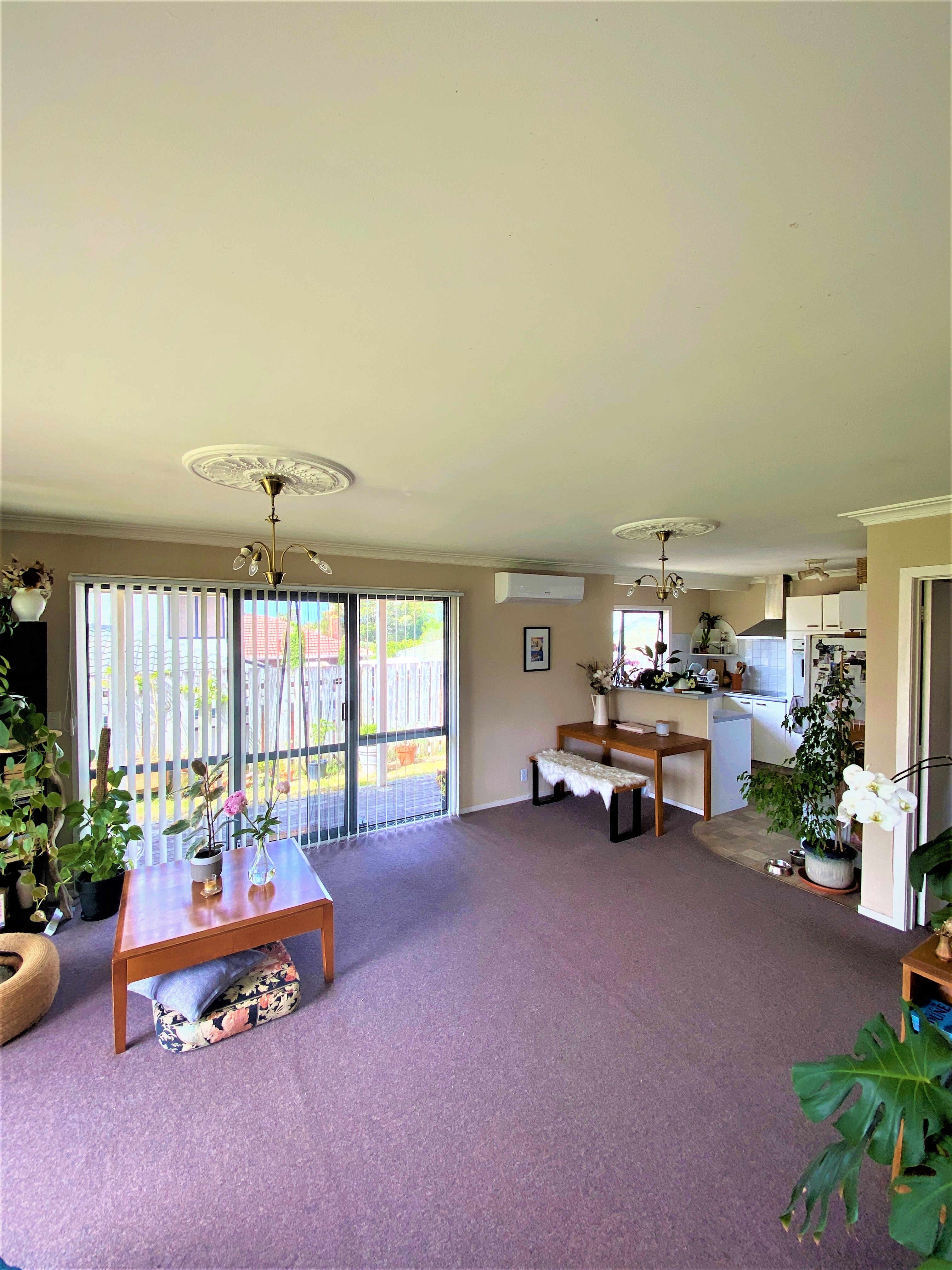 11 Wairakei Street, Greenlane, Auckland City