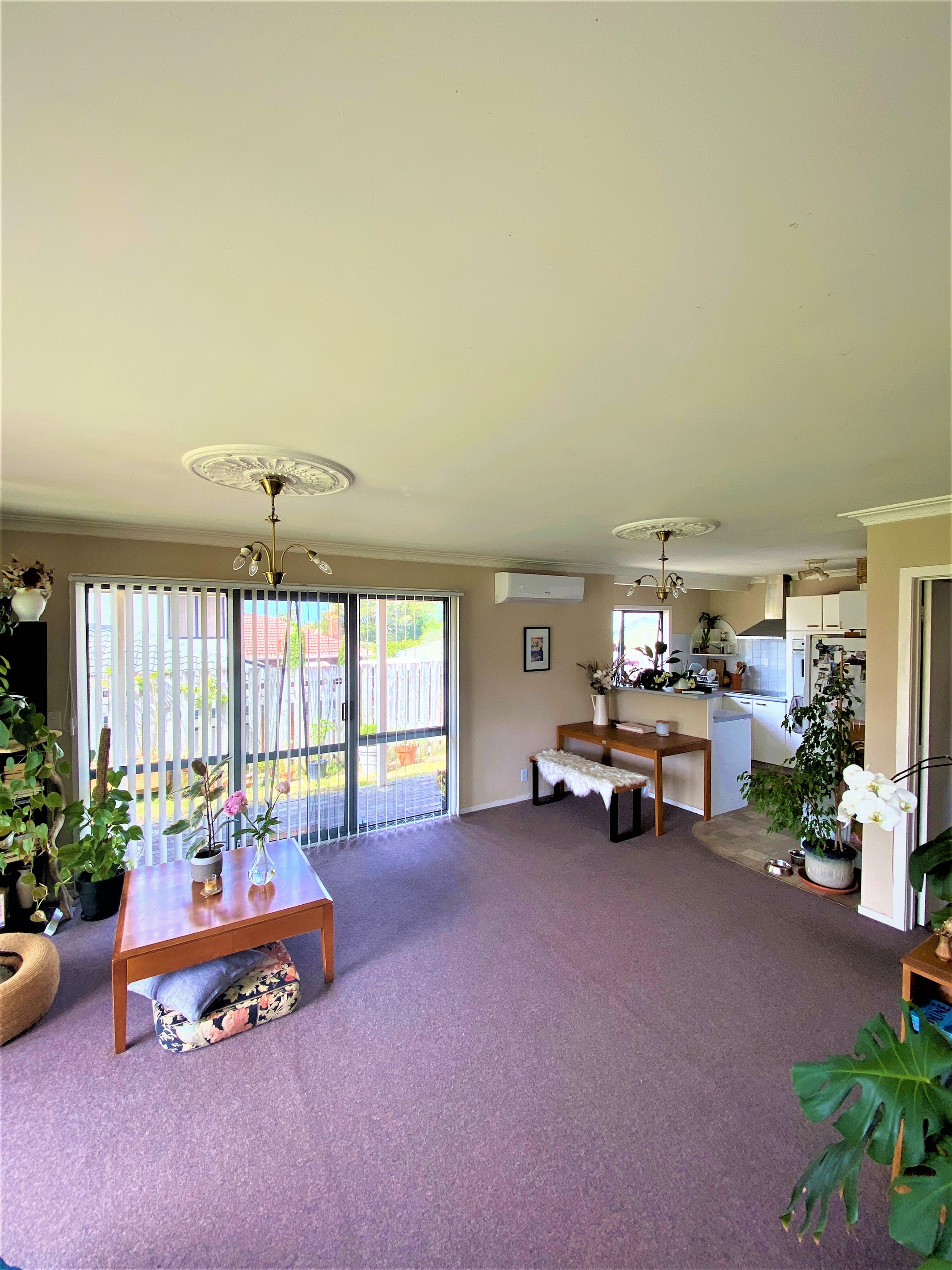 11 Wairakei Street, Greenlane, Auckland City