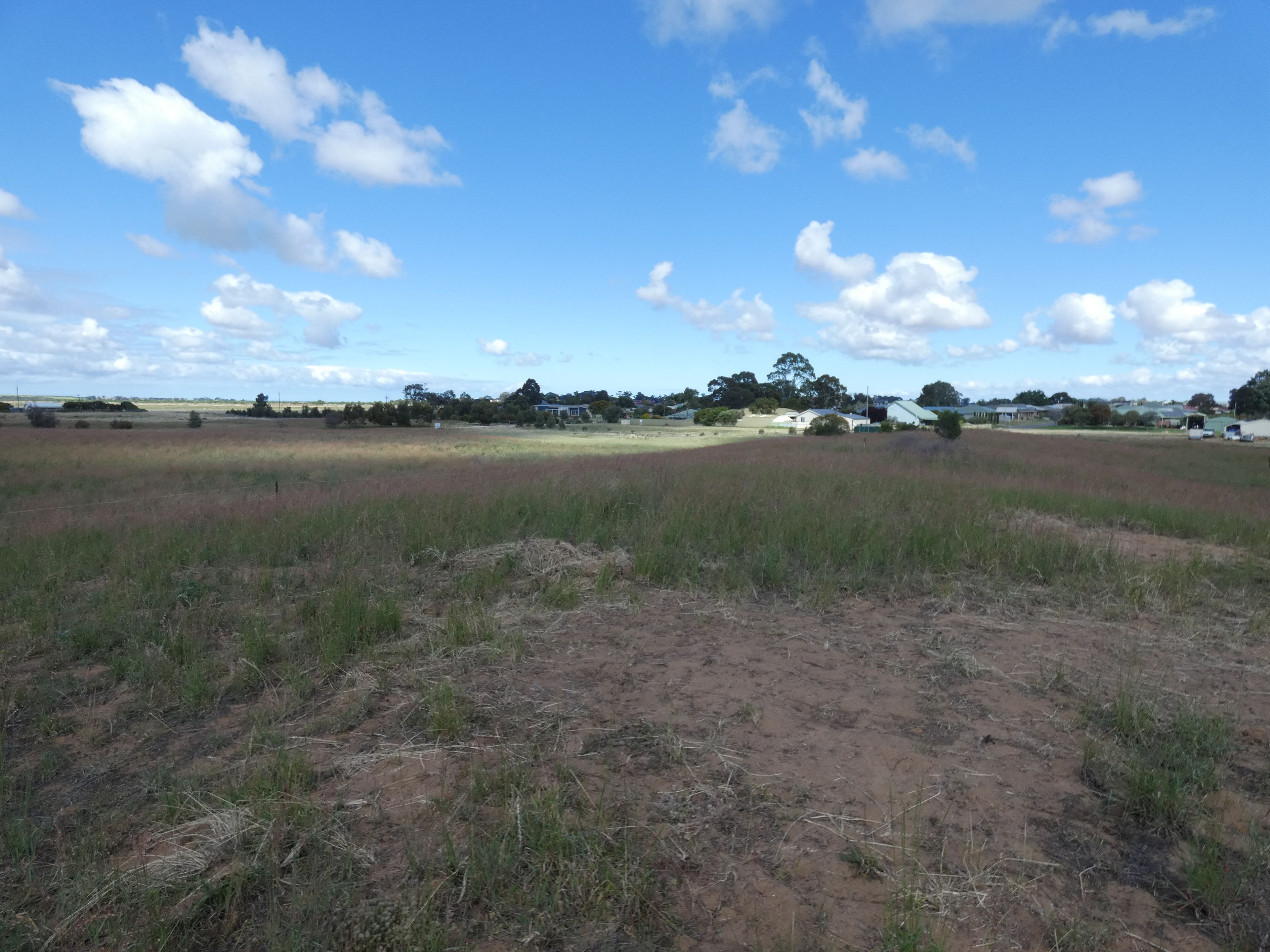 Lot 964 Pangarinda Road, Wellington East, SA 5259