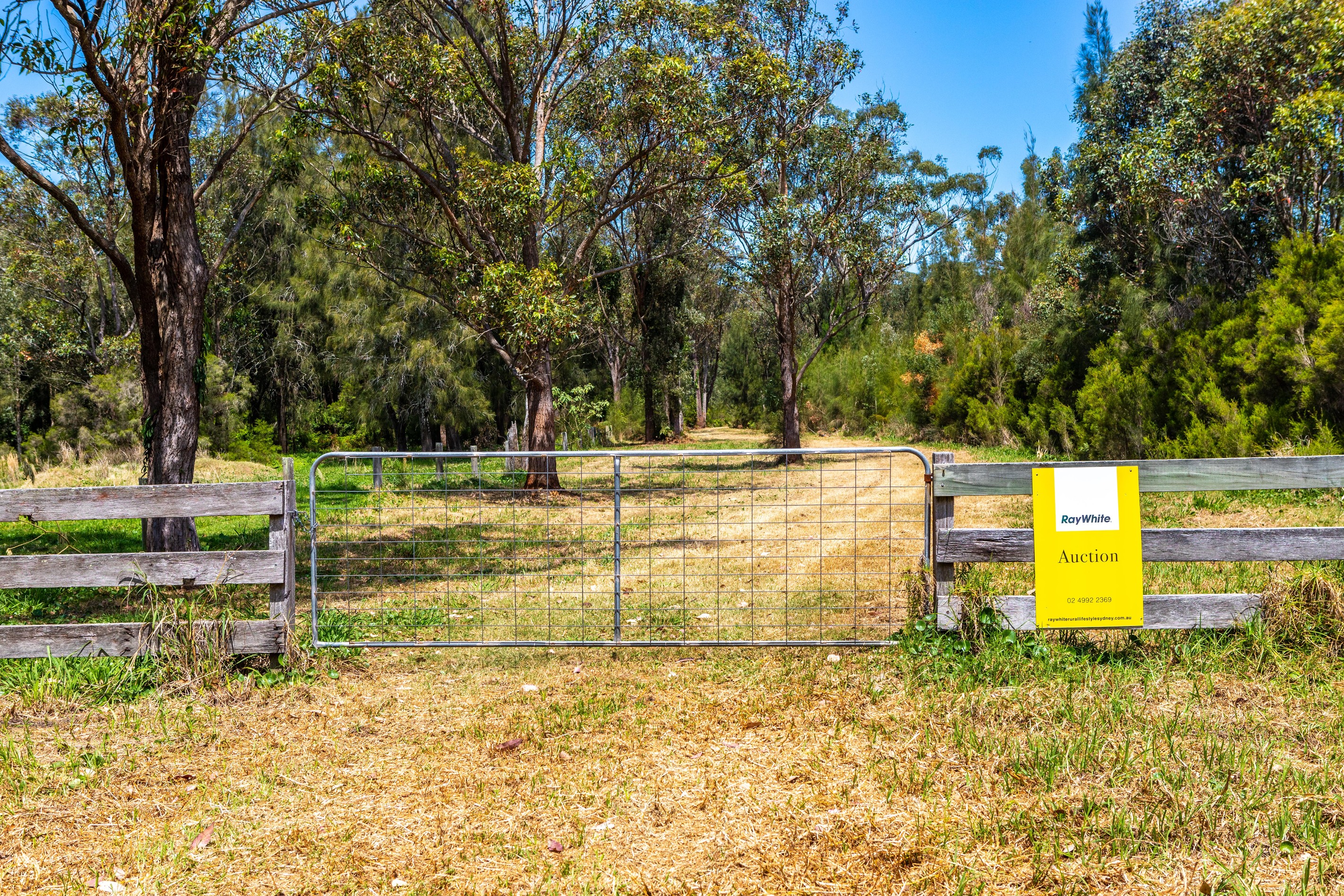 56a Lisadell Road, Medowie, NSW 2318