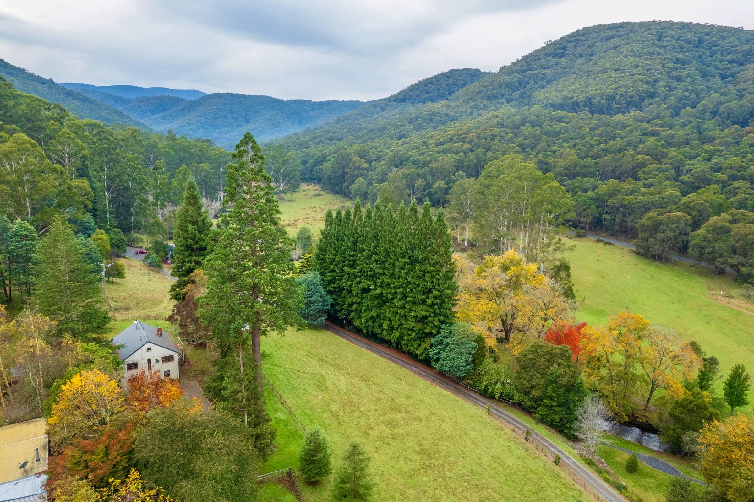105 Toorongo Valley Road, Noojee, VIC 3833 Rural Lifestyle Property