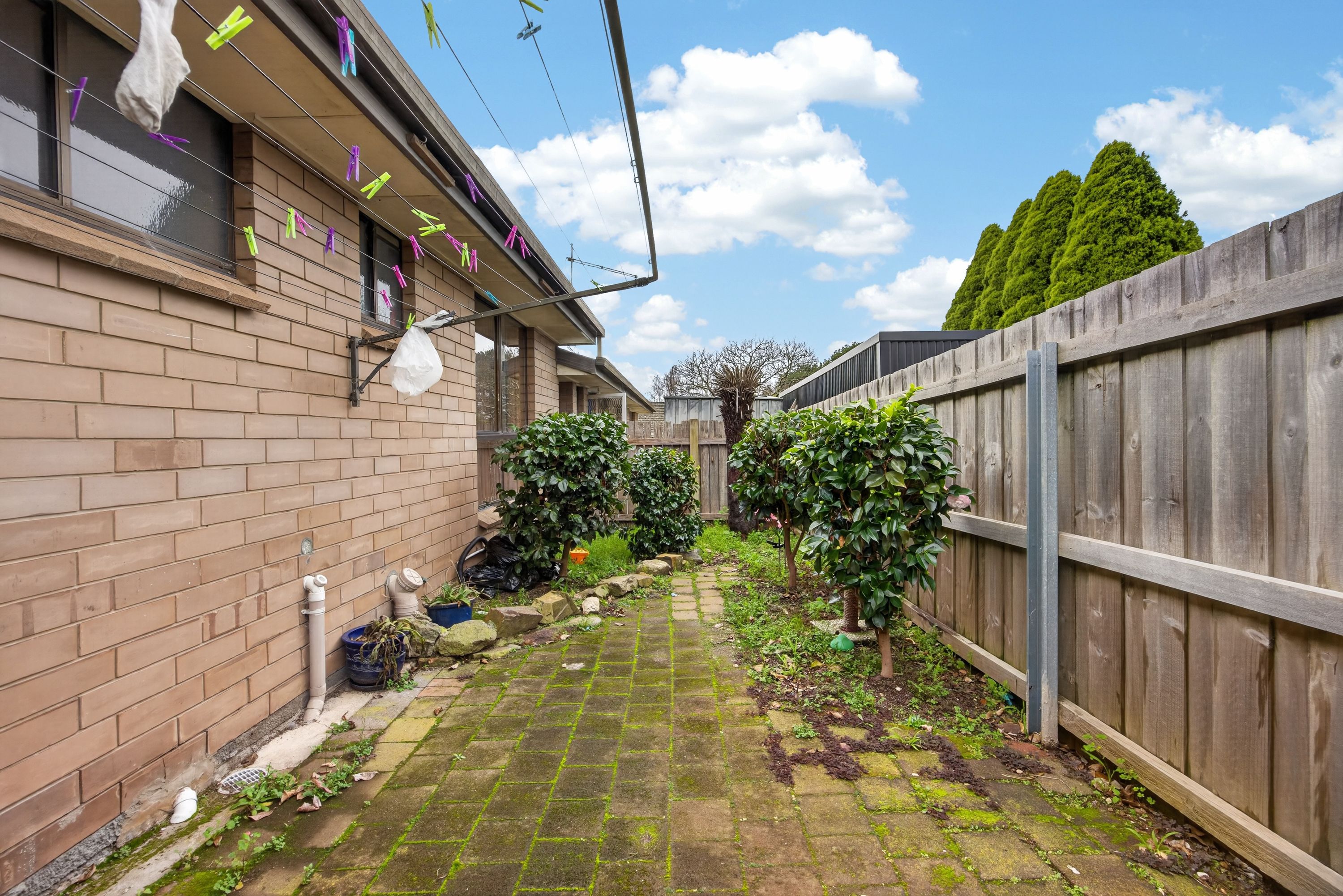 2/162 Weld Street — photo 19 of 30